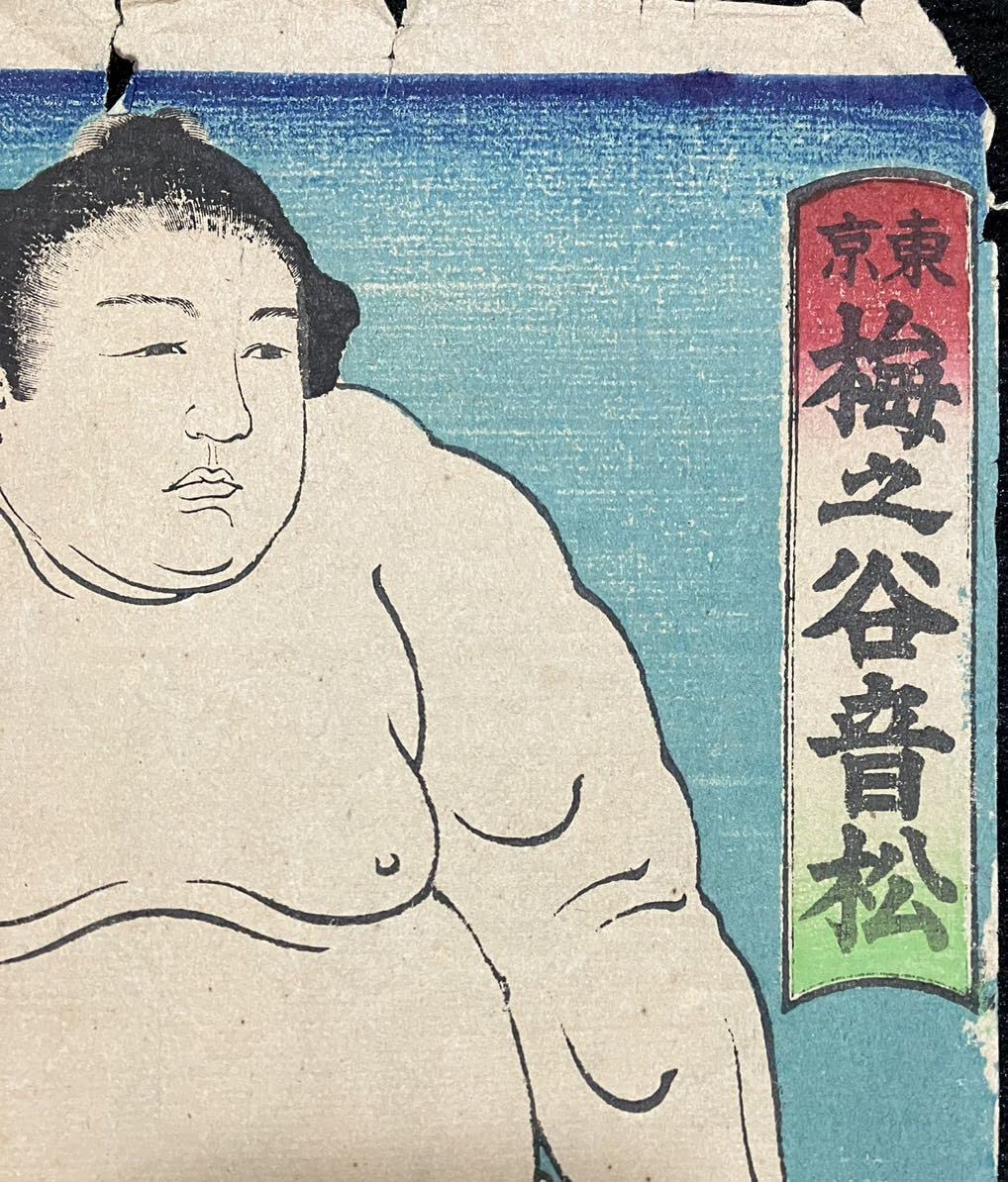 Amazon.co.jp: 玉波「東京 梅之谷音松」本物 浮世絵 木版画 相撲絵