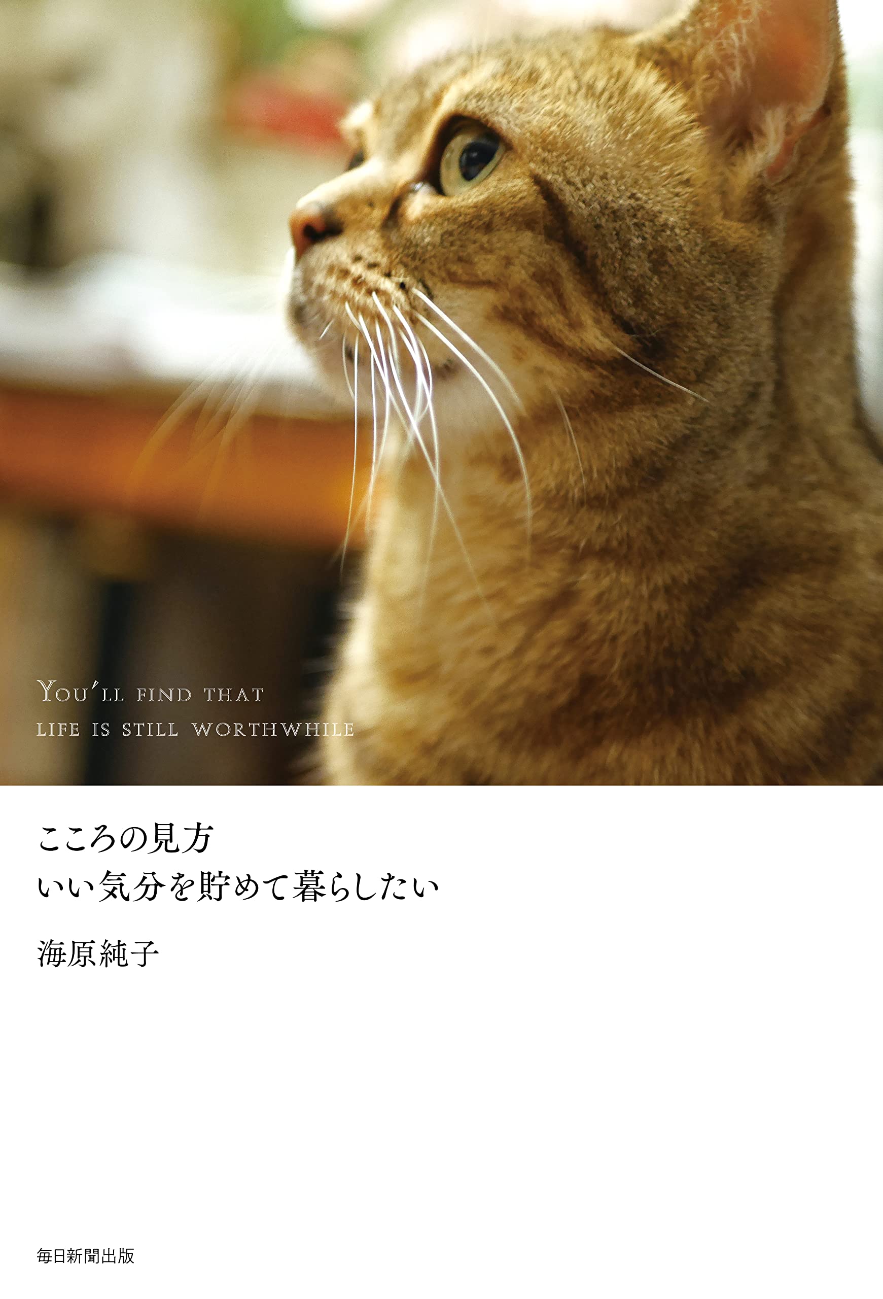 こころの見方 いい気分を貯めて暮らしたい | 海原 純子 |本 | 通販
