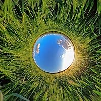 Vista 4 de GoPro Batería Recargable Enduro (MAX) - Accesorio Oficial de GoPro