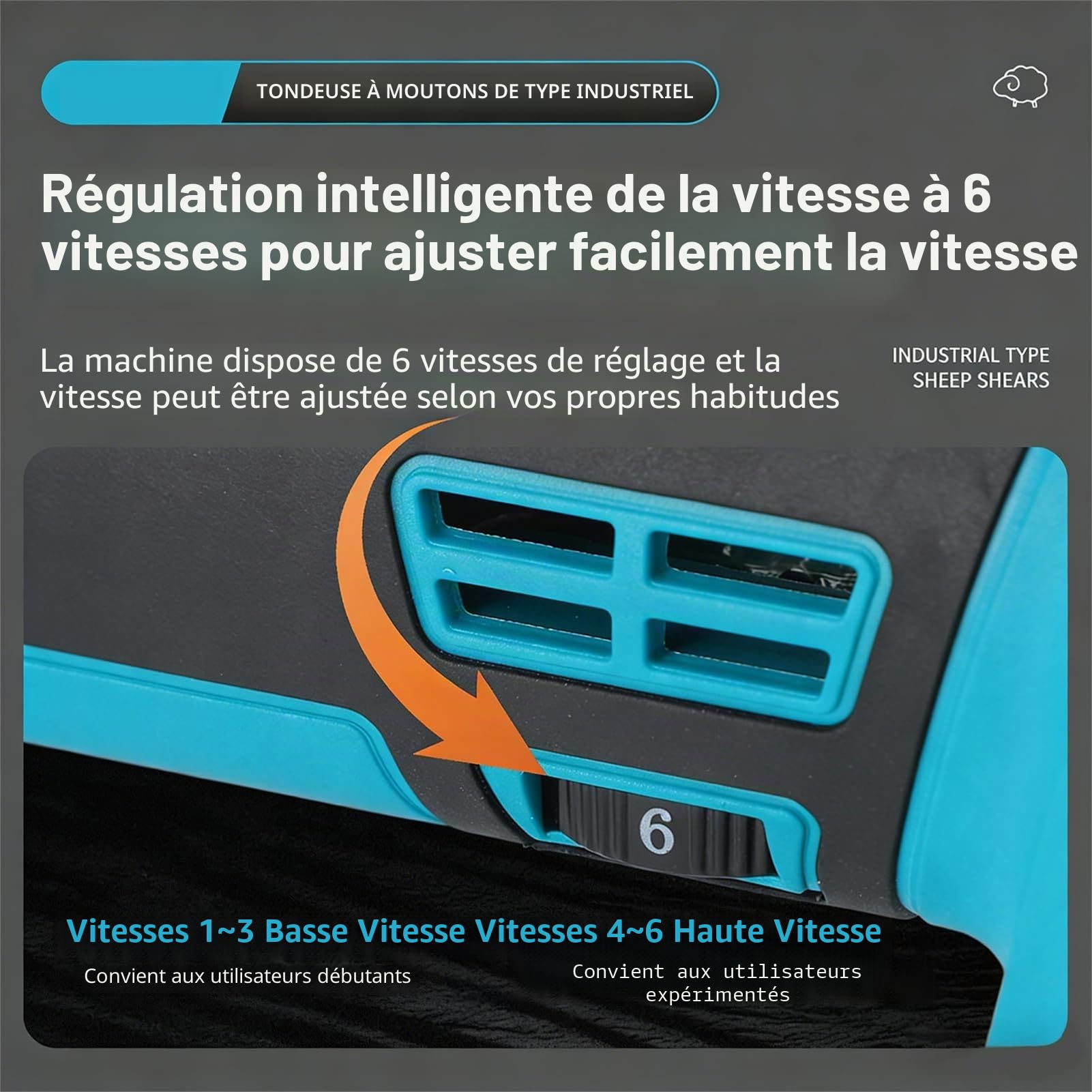 Tondeuse à Mouton Sans Fil 800W, Tondeuse à Laine Électrique avec Réglage à 6 Vitesses & Lame 9/13 Dents, Espacement de Lame Réglable, Tondeuses pour Moutons/Chèvres/Bovins/Ferme/A 13-Tooth-1 Battery