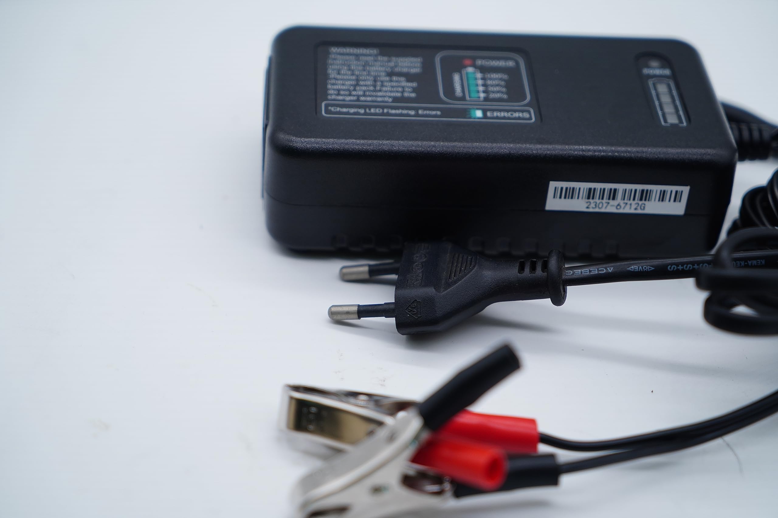 Babura 12V 3.3A Caricabatterie per 4S LiFePO4 batteria del motociclo UTV, Jet Ski, 4 ruote, tosaerba，quad, tosaerba di guida