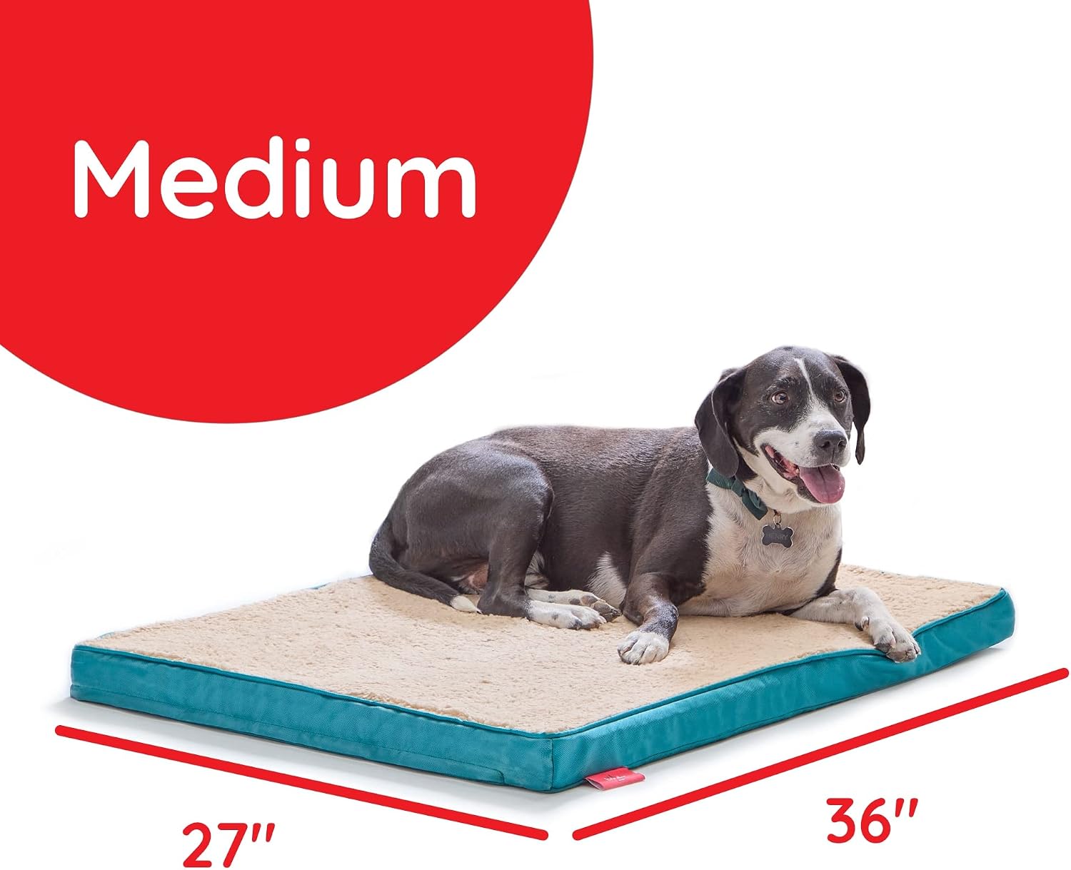 Brindle Dog Bed - Orthopedic Pet Bed - Dog Crate Bed with Machine Washable Cover - 2" Medium Dog Bed - Teal