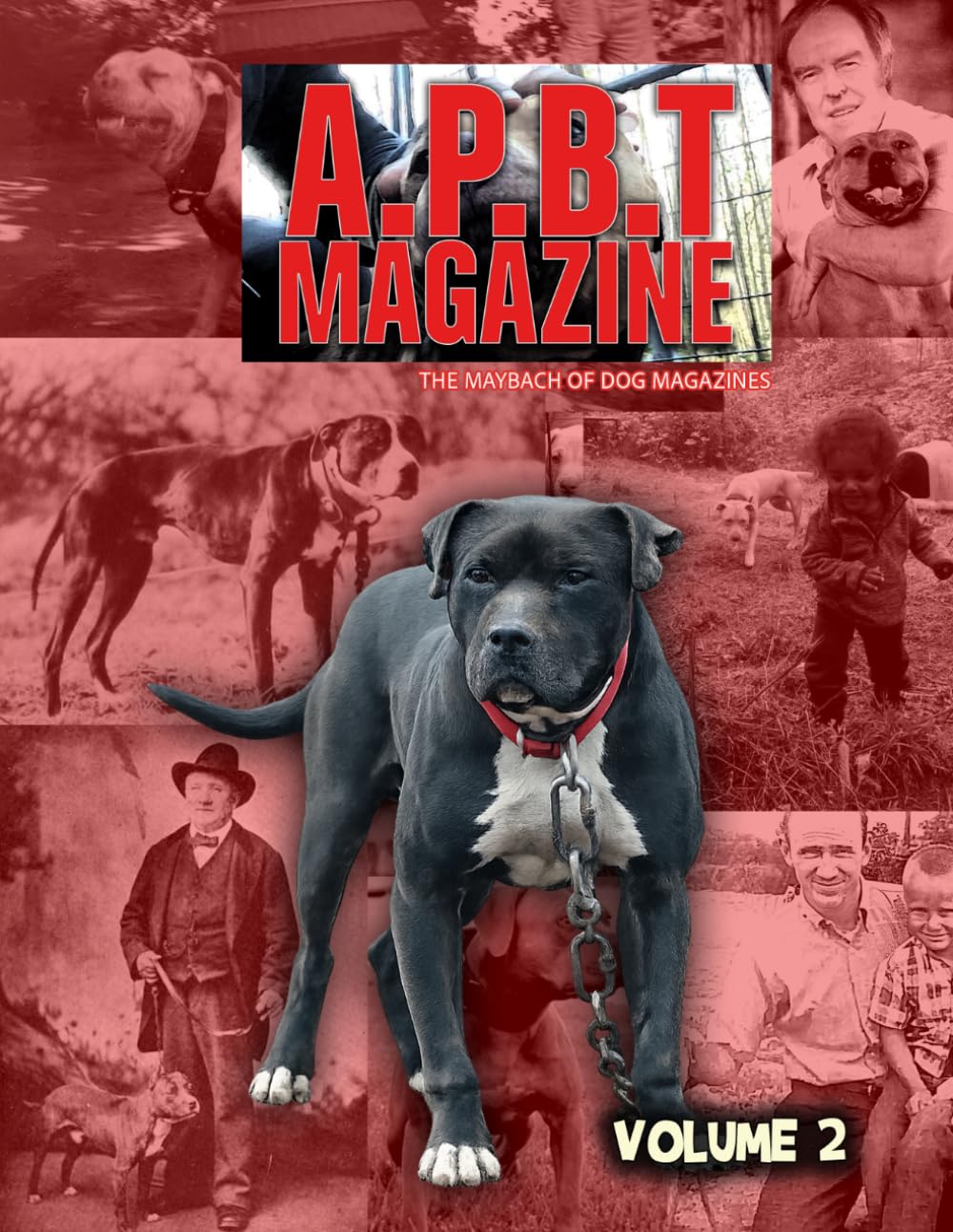 APBT Magazine: Volume 2: Stories, Bloodlines, and Culture of the American Pit Bull Terrier      Paperback – March 15, 2026