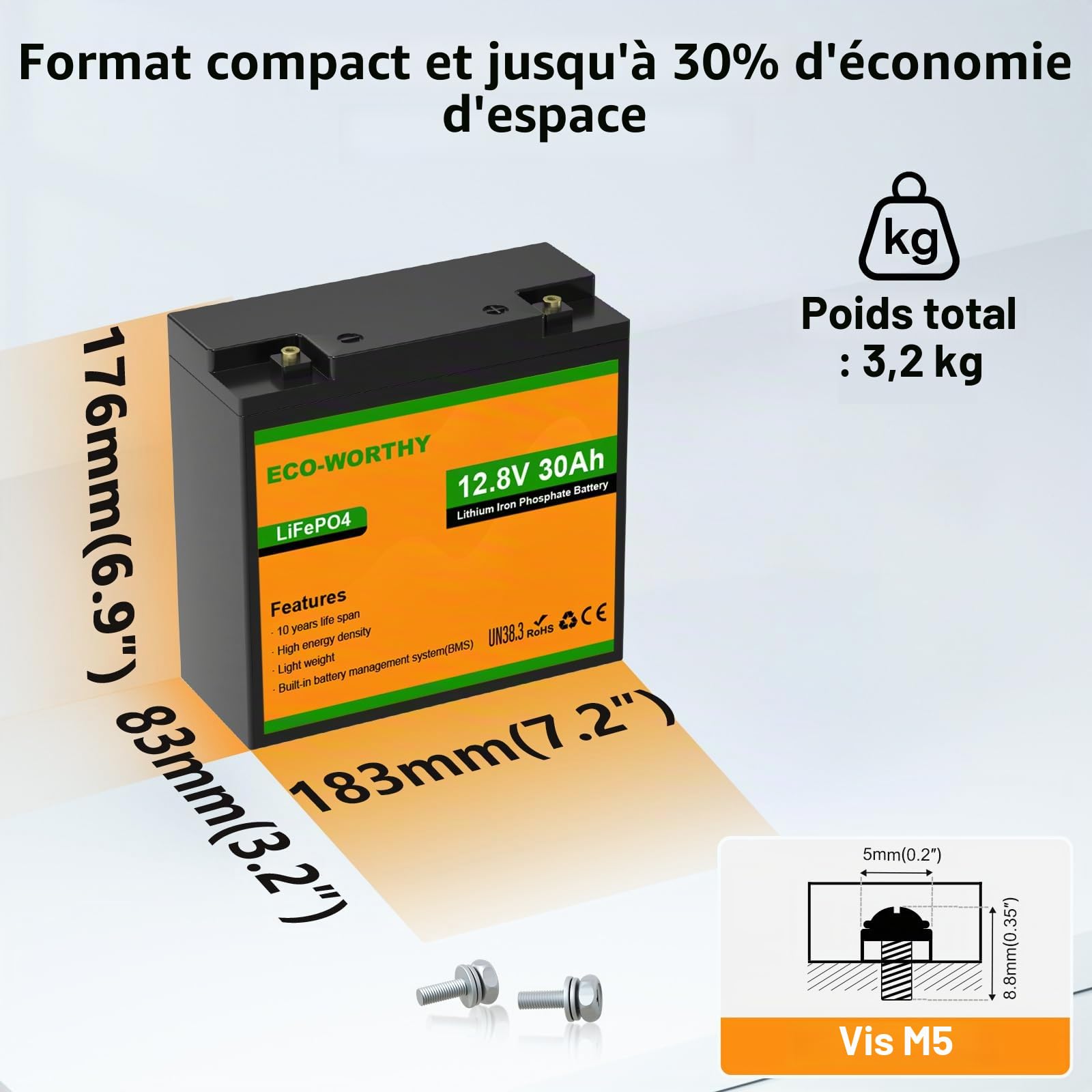 ECO-WORTHY LiFePO4 Batterie au lithium 12 V 30 Ah