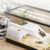 Turtle Habitat Kit with Basking Platform, Waterfall & Filter - 29x17.5x18cm Clear Turtle Tank Aquarium for Pet Turtles, Easy Setup Terrarium