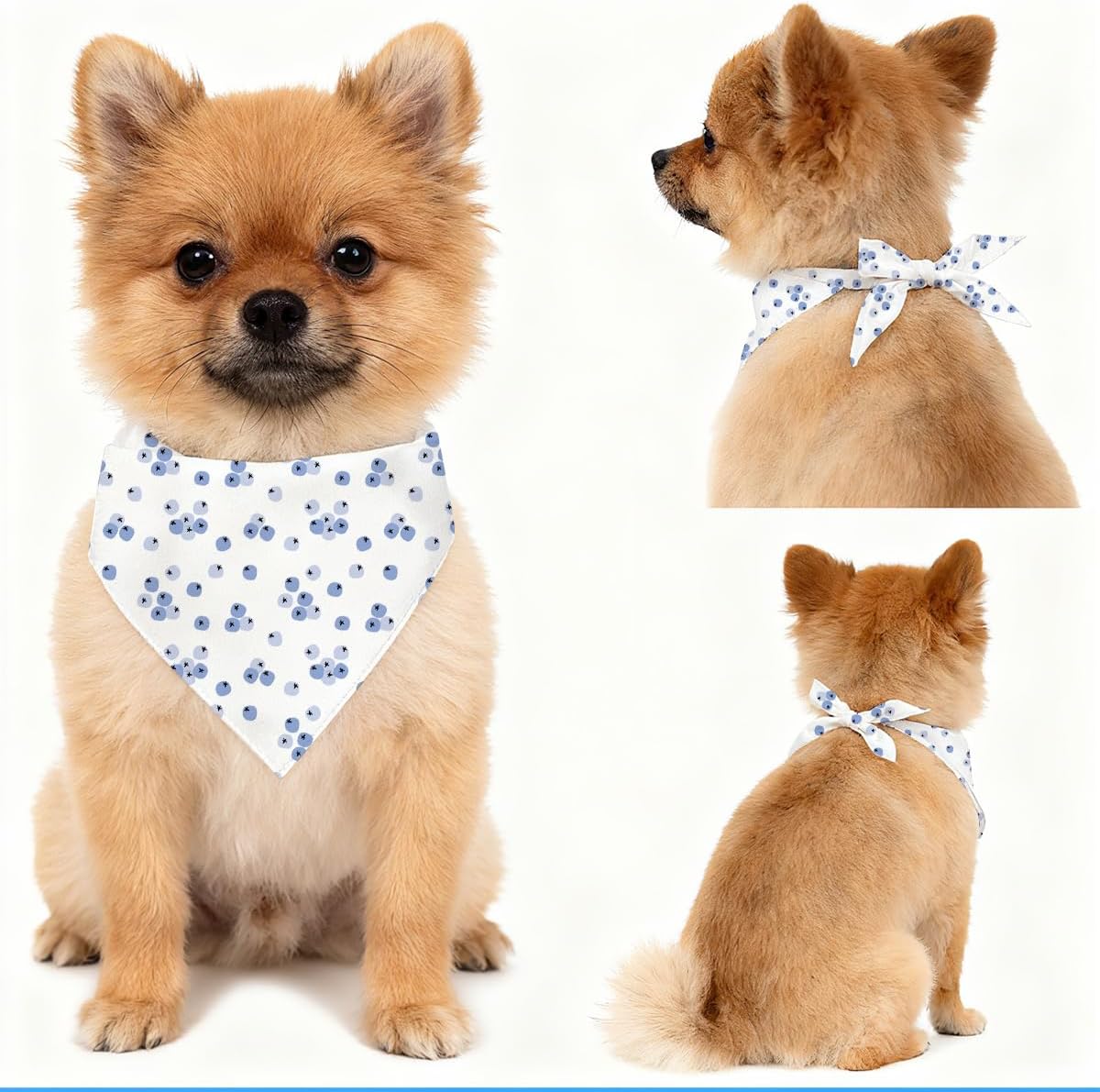 Blueberry Dog Bandana, Fruit Pattern Pet Triangle Scarf for Small Medium Dogs, Cute Puppy Bandana for Daily Wear Walks Picnic Birthday Party Family Photos image 4