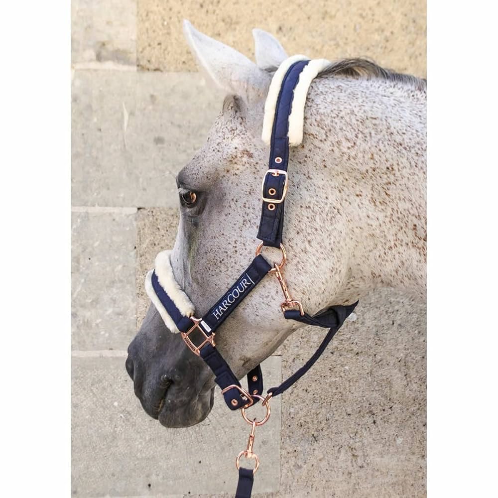 Amazon.co.jp: 乗馬用品 HARCOUR ホリー 無口 曳き手 セット