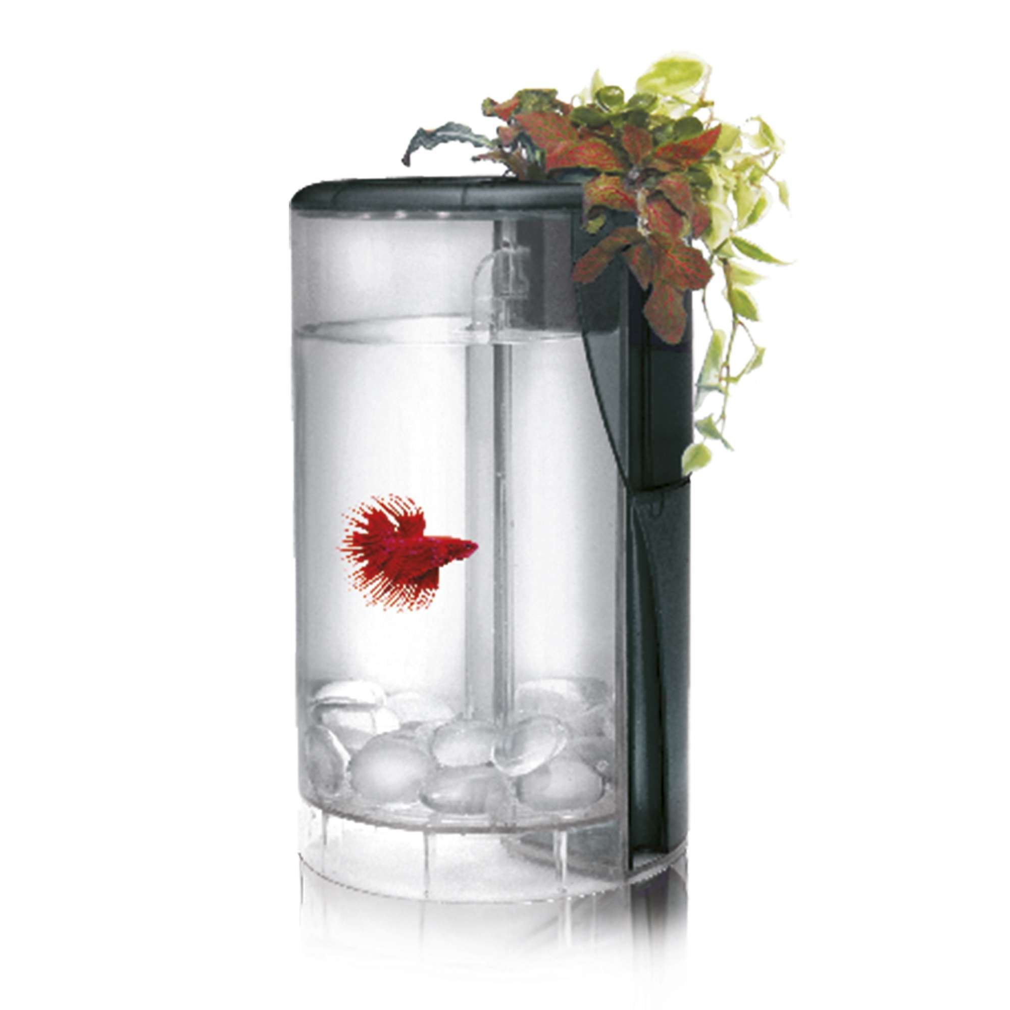 Ocean Free AT620B Kit Betta Flora Led, Negro