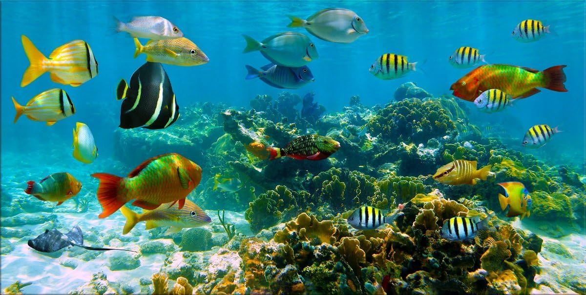 Damenight Modern Canvas Wall Art Painting for Home Decor Panorama in a Coral Reef with Colorful Shoal of Tropical Fish Canvas Wall Art Stretched and Ready to Hang Seascape the Picture for Home Decor