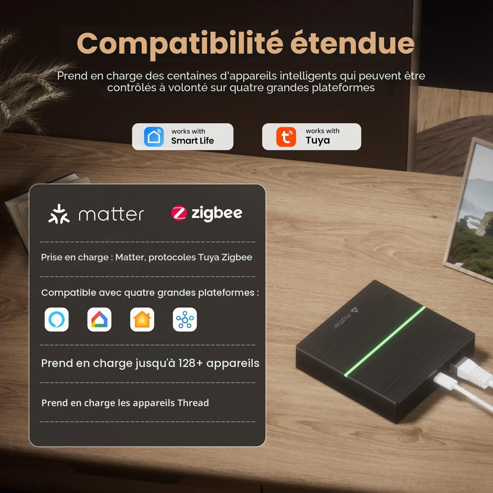 MIUCDA Zigbee Gateway et Matter Thread Gateway - Hub mat pour domotique - Prend en charge Alexa, Google Assistant, Apple HomeKit, SmartThings