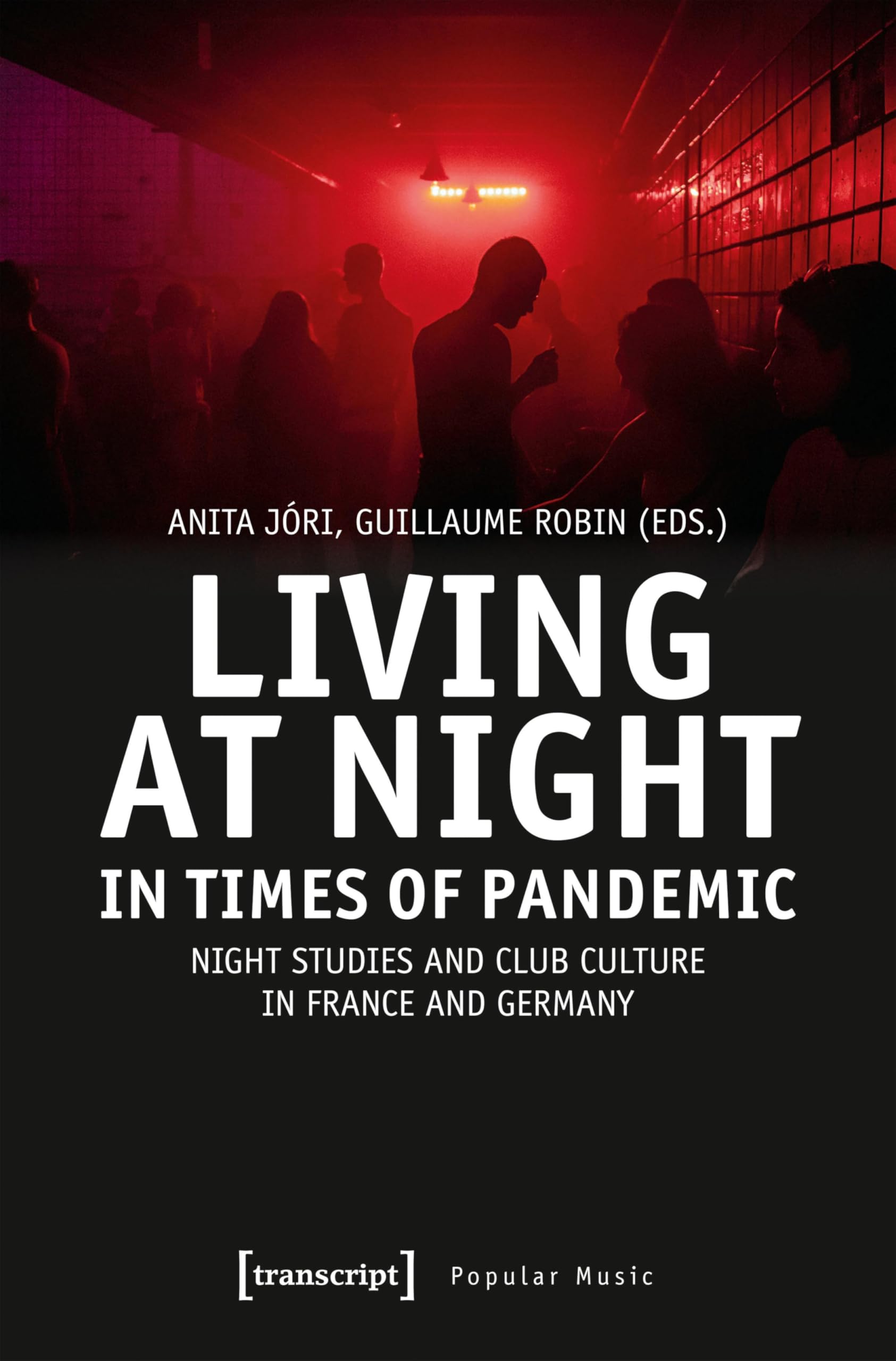 Night Studies and Club Culture livre sociologie culturelle franco-allemande
