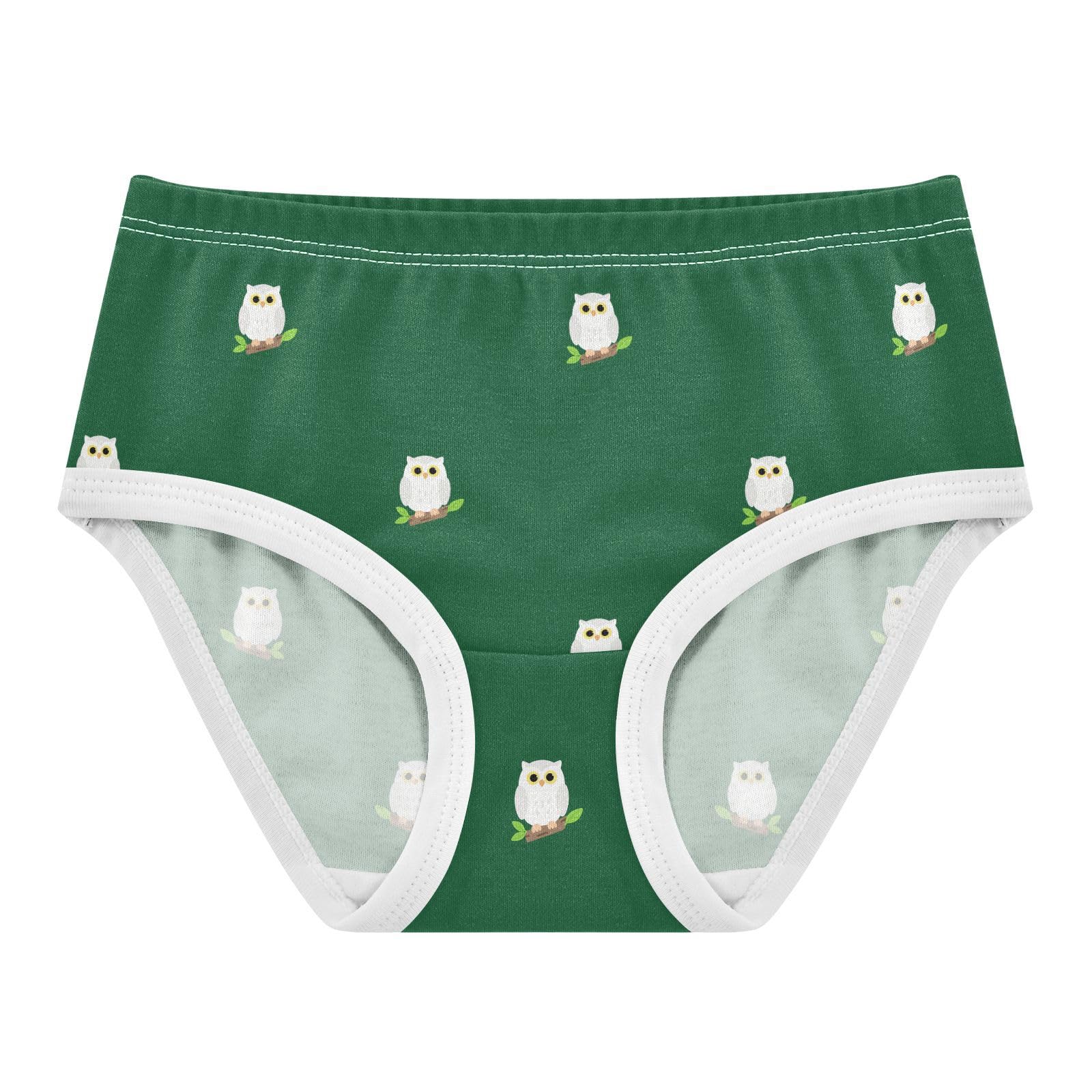 Cute Owl Bird Green Toddler Girlss Underwear 2T 2302236
