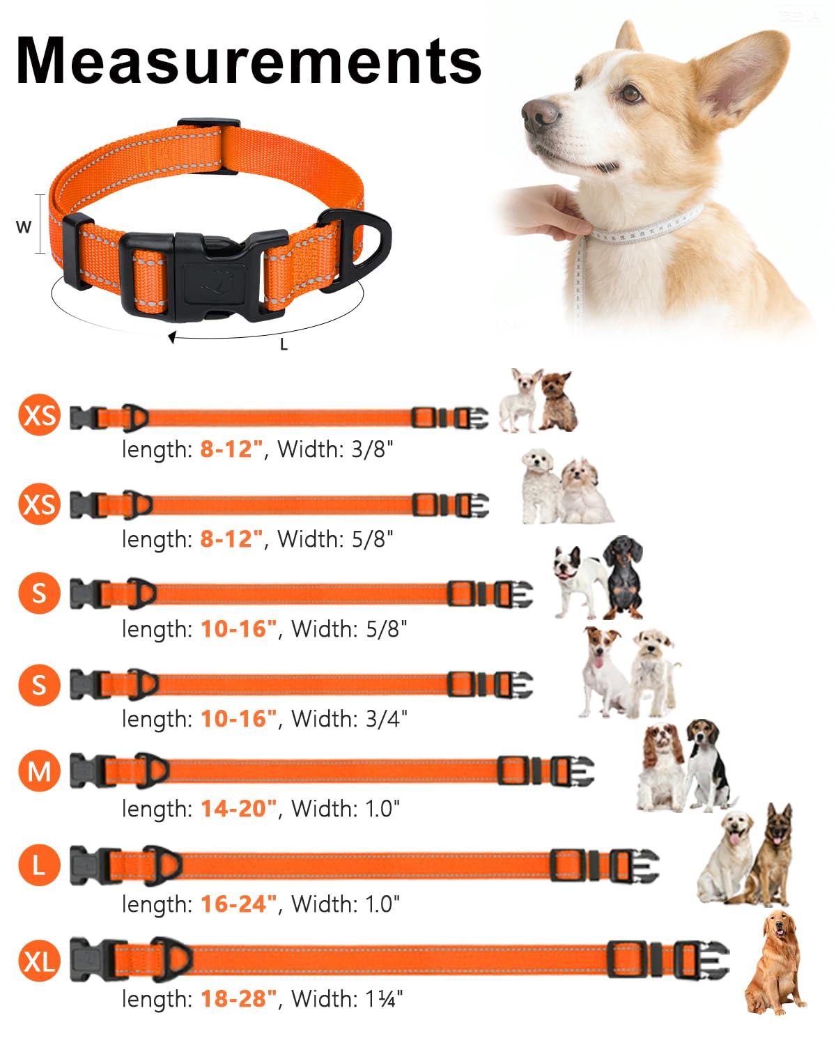 https://m.media-amazon.com/images/I/715AbB-EjGL.jpg
