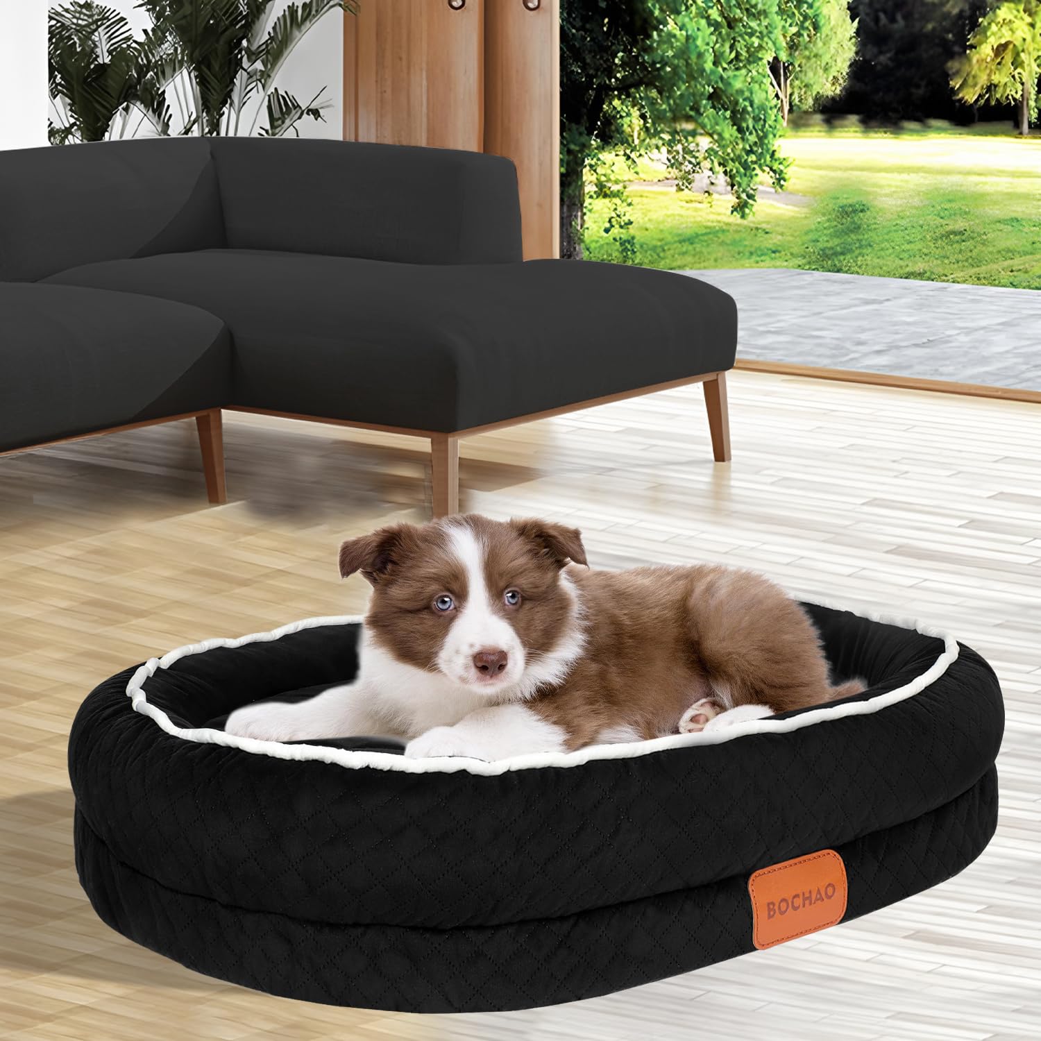 BOCHAO Egg-Shaped Memory Foam Dog Bed,an Orthopedic Dog Sofa Suitable for Small and Medium-Sized Dogs,With four-Sided neck Support,Waterproof and Non-Slip,and Removable and Washable Cover(Black,M)