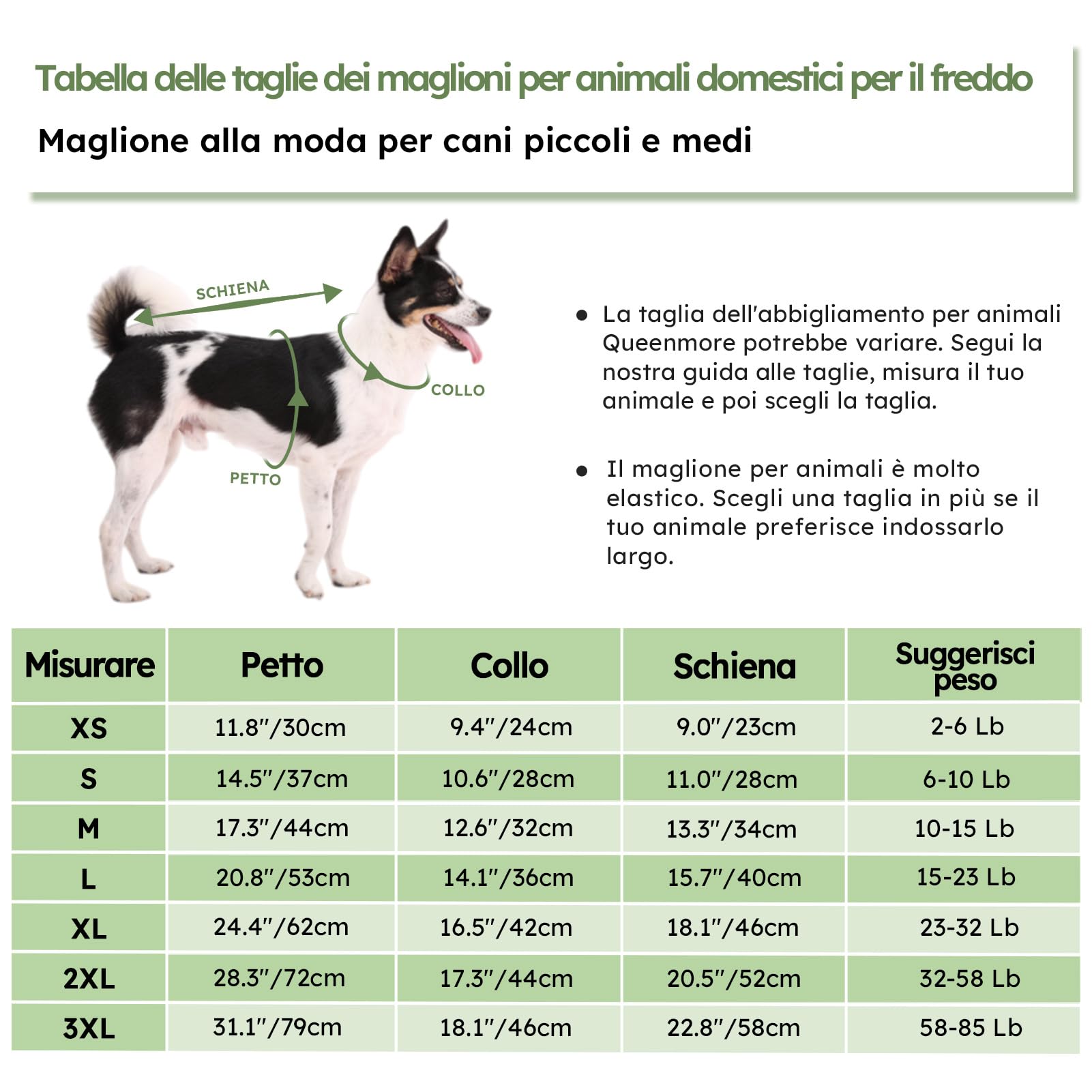 Queenmore Maglione Taglia Media per Cane Bassotto - Caldo Felpa A Collo Alto Ritorto - Vestiti Elastici per Cani Gatti Bulldog Francese Barboncino Chihuahua, Verde, M