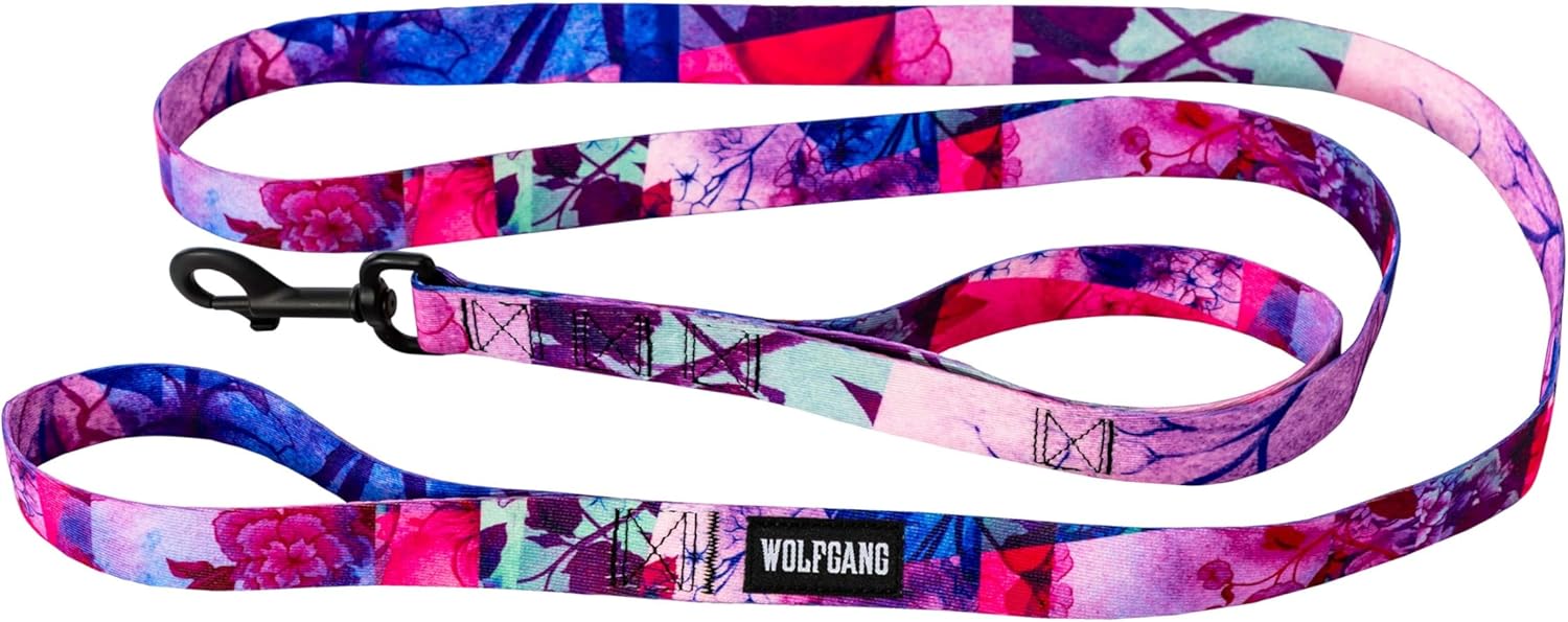 Wolfgang Heavy Duty Dog Leash, Pull-Tested for Walking & Training, Daydream Print, Dual Handle Large