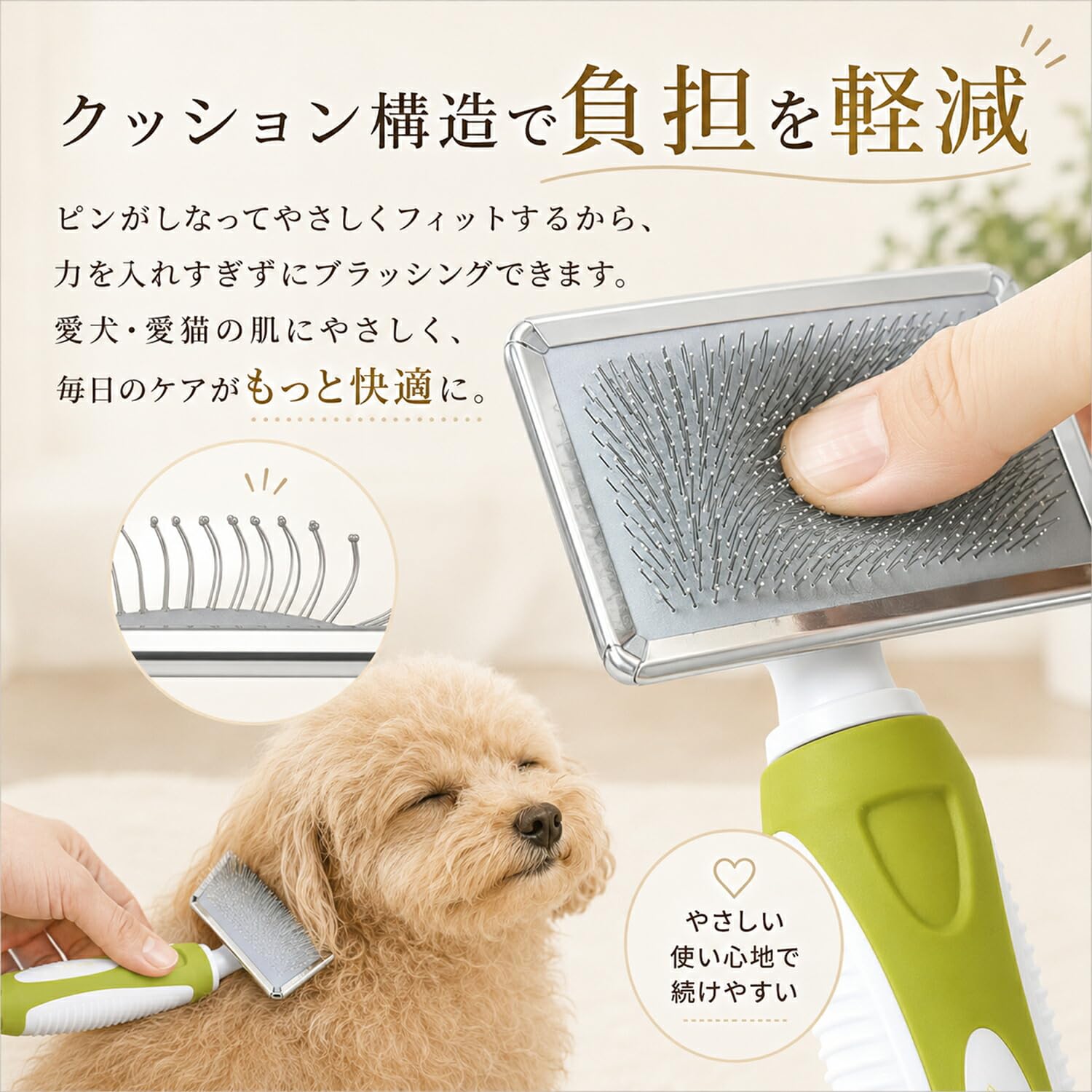 Amazon.co.jp: Lifetips日本スピッツ（Japanese Spitz）デボンレックス