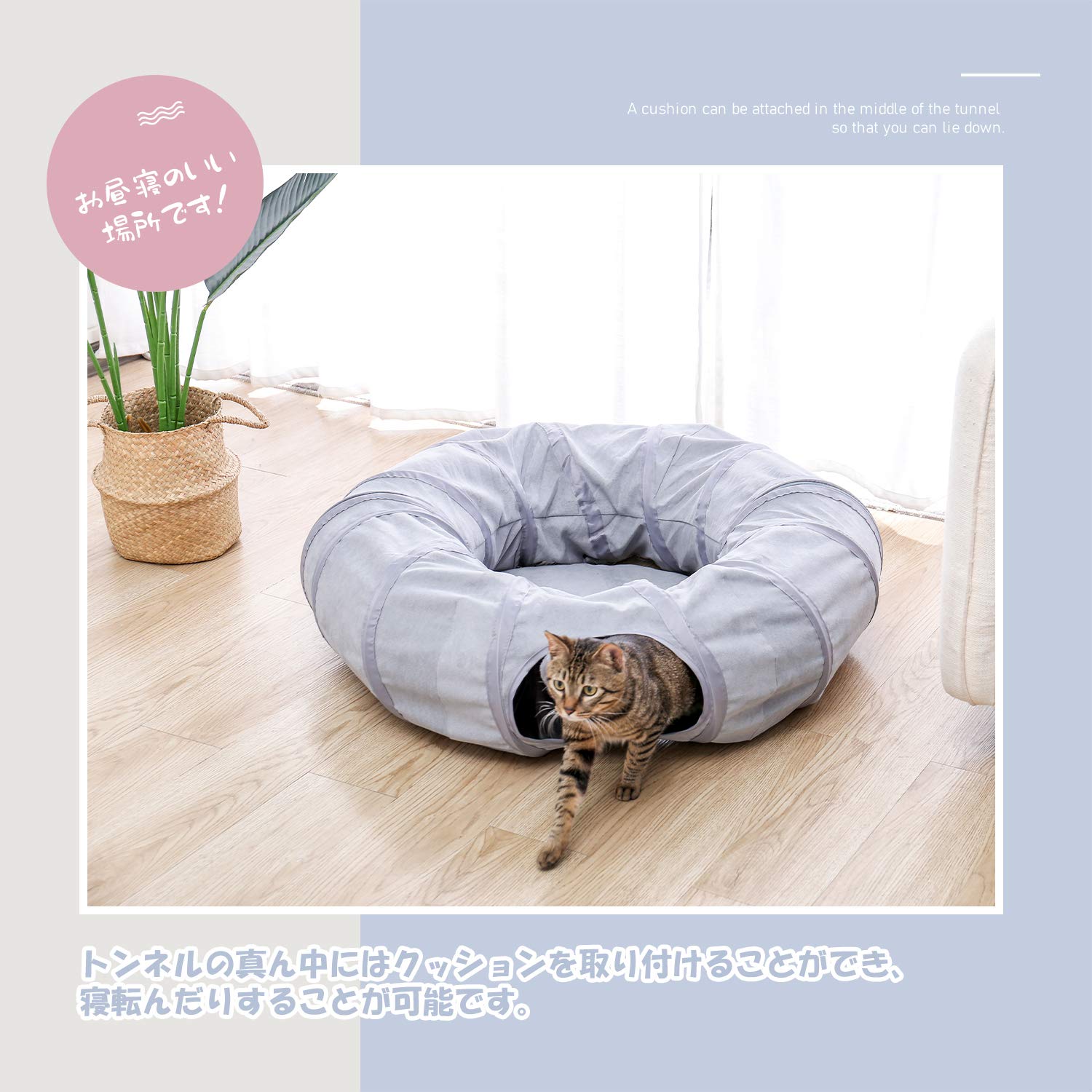 Amazon | PAWZ Road 猫トンネル キャットトンネル 円 ドーナツ型