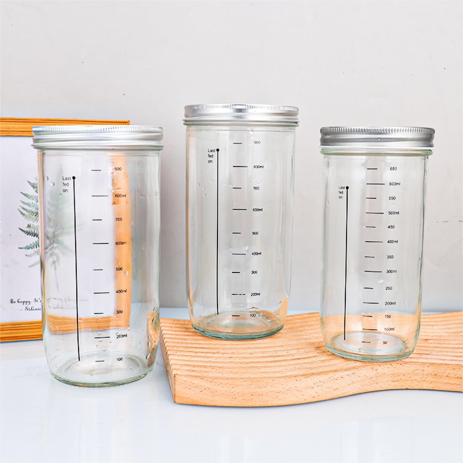 Contenitori Cucina, Glass Jars 3 Confezioni Di Barattoli Vetro Con Coperchi Sigillanti, Contenitori Segni Misurazione Muesli Domestica(10.5x19.5cm)