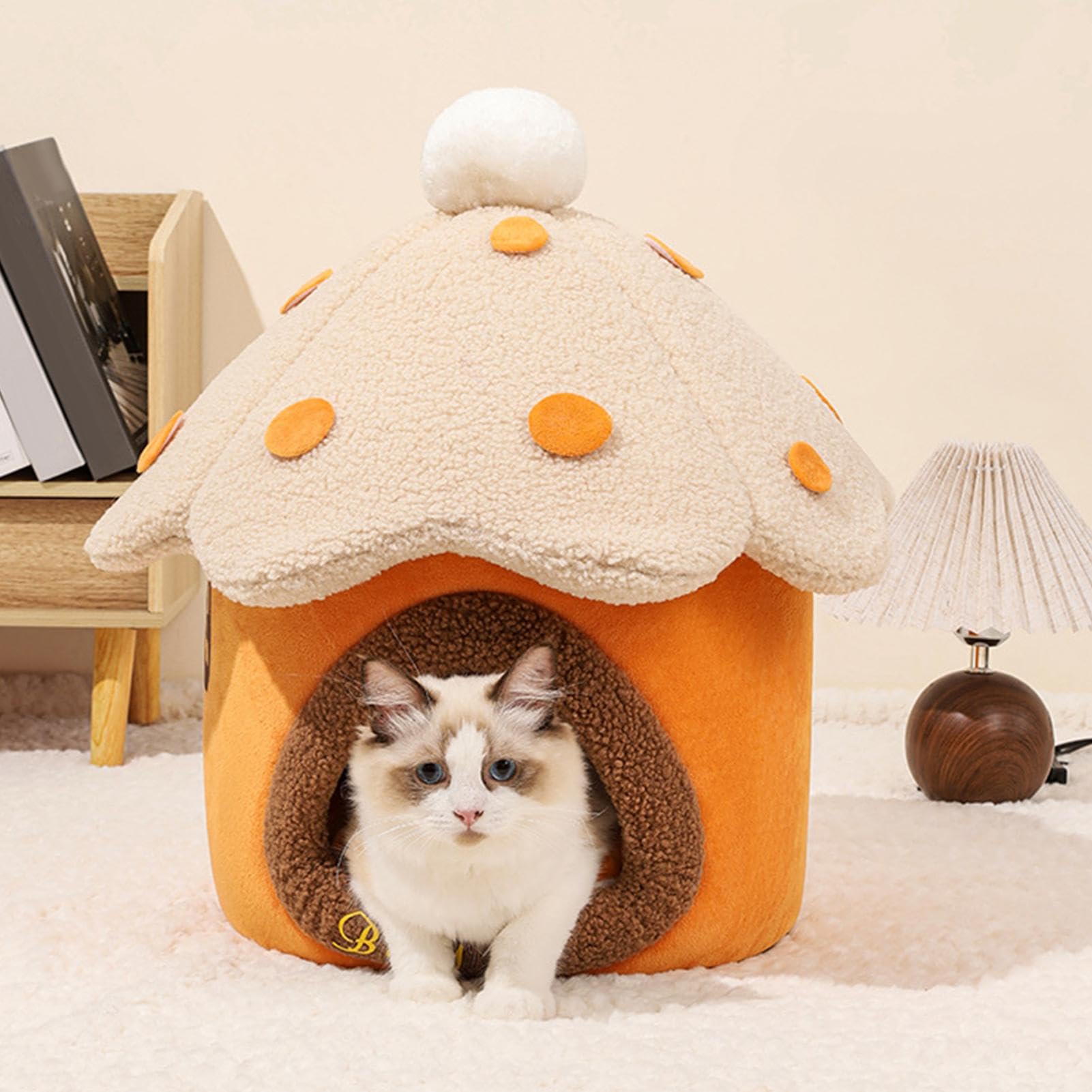 Cuccia Gatto Fungo Carina Comoda Calda Morbida Rimovibile Chiusa Privata | Condominio dei Perfetta per Soggiorno o Camera da della Tua Casa