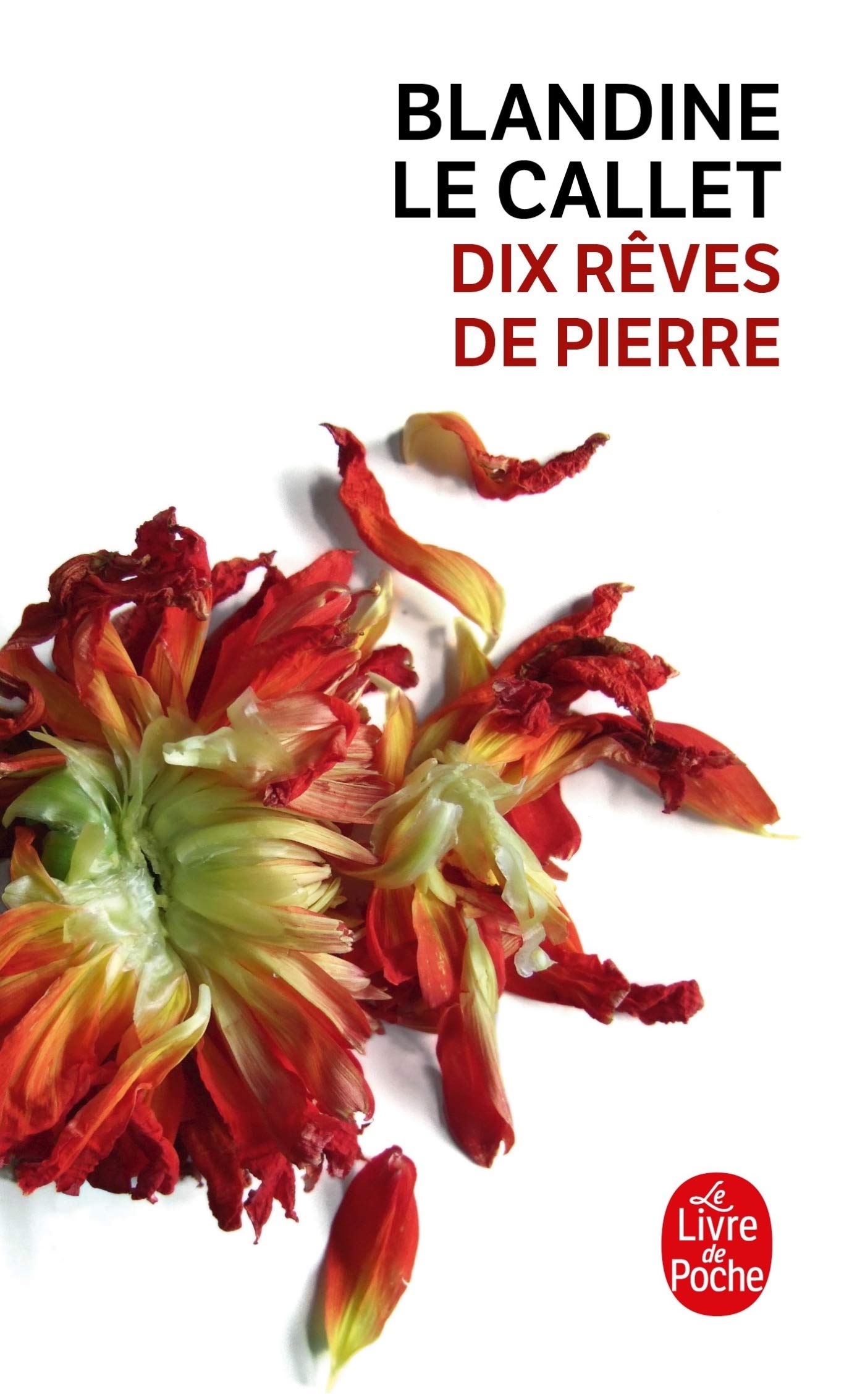 Dix reves de pierre (Litterature & Documents)