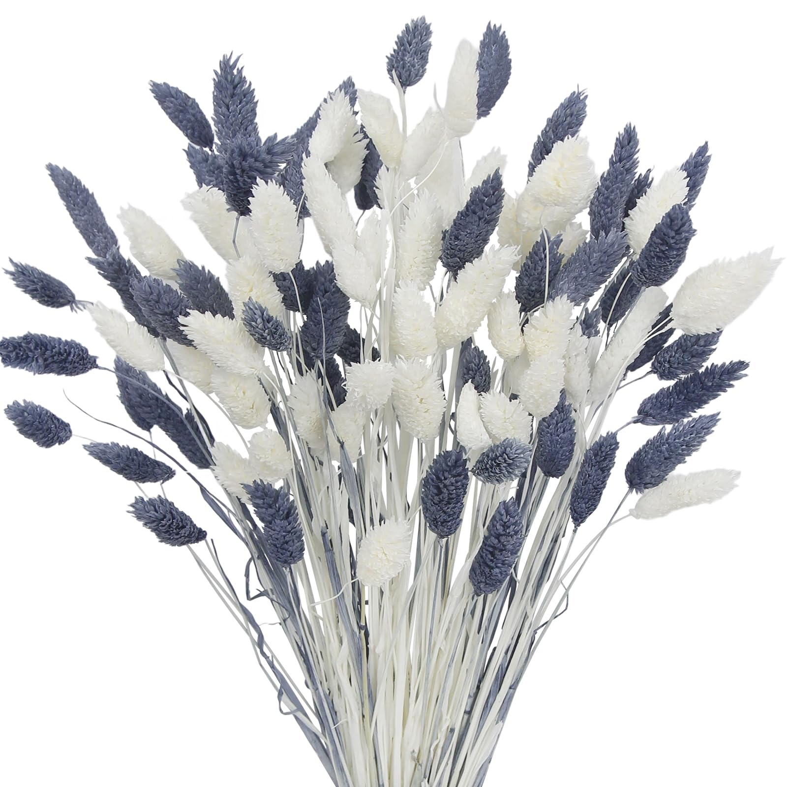 CEWUDA 100 Pcs Dried Flowers Stems Natural Dried Pampas Grass Bouquets White and Grey Gem Grass Artificial Dried Plants for Autumn Vase Filler Floral Arrangements Boho Home Table Wedding Decoration