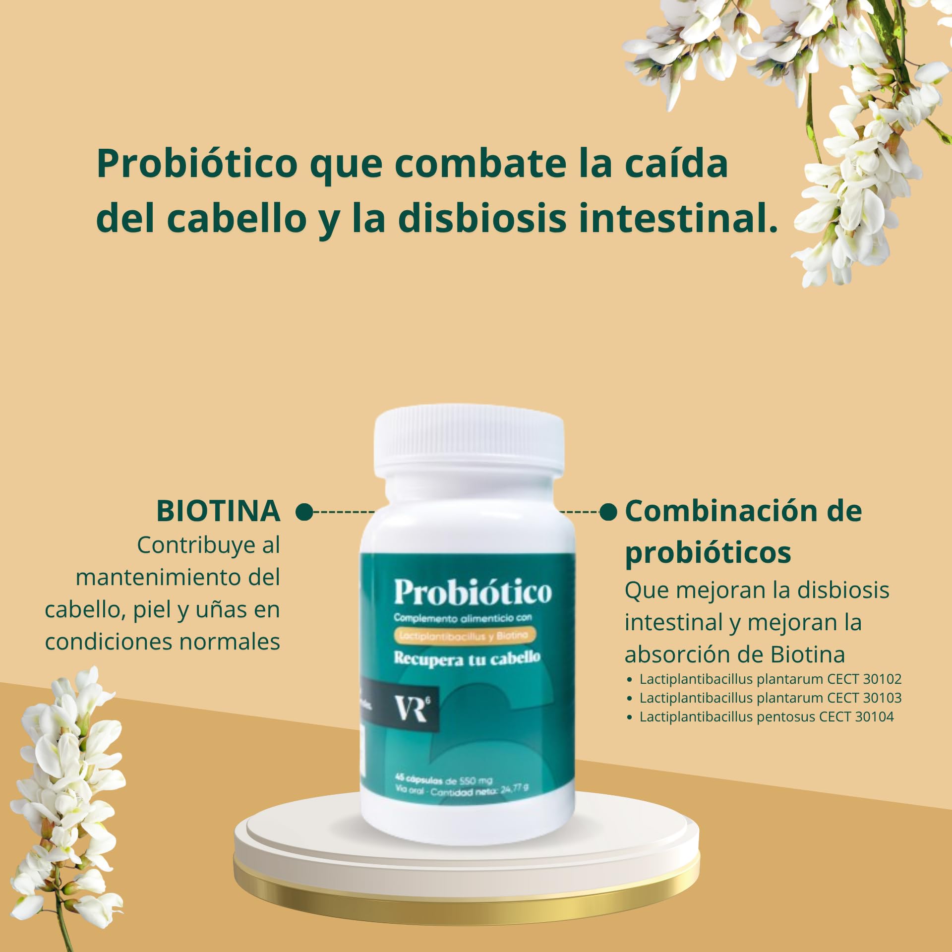 VR6 - Probiótico Anticaida Capilar con Biotina para el Cabello. Estimula el Crecimiento del Pelo y Mejorar la Disbiosis Intestinal. Vitaminas para el Cabello Piel y Uñas Mujeres y Hombres 45 und