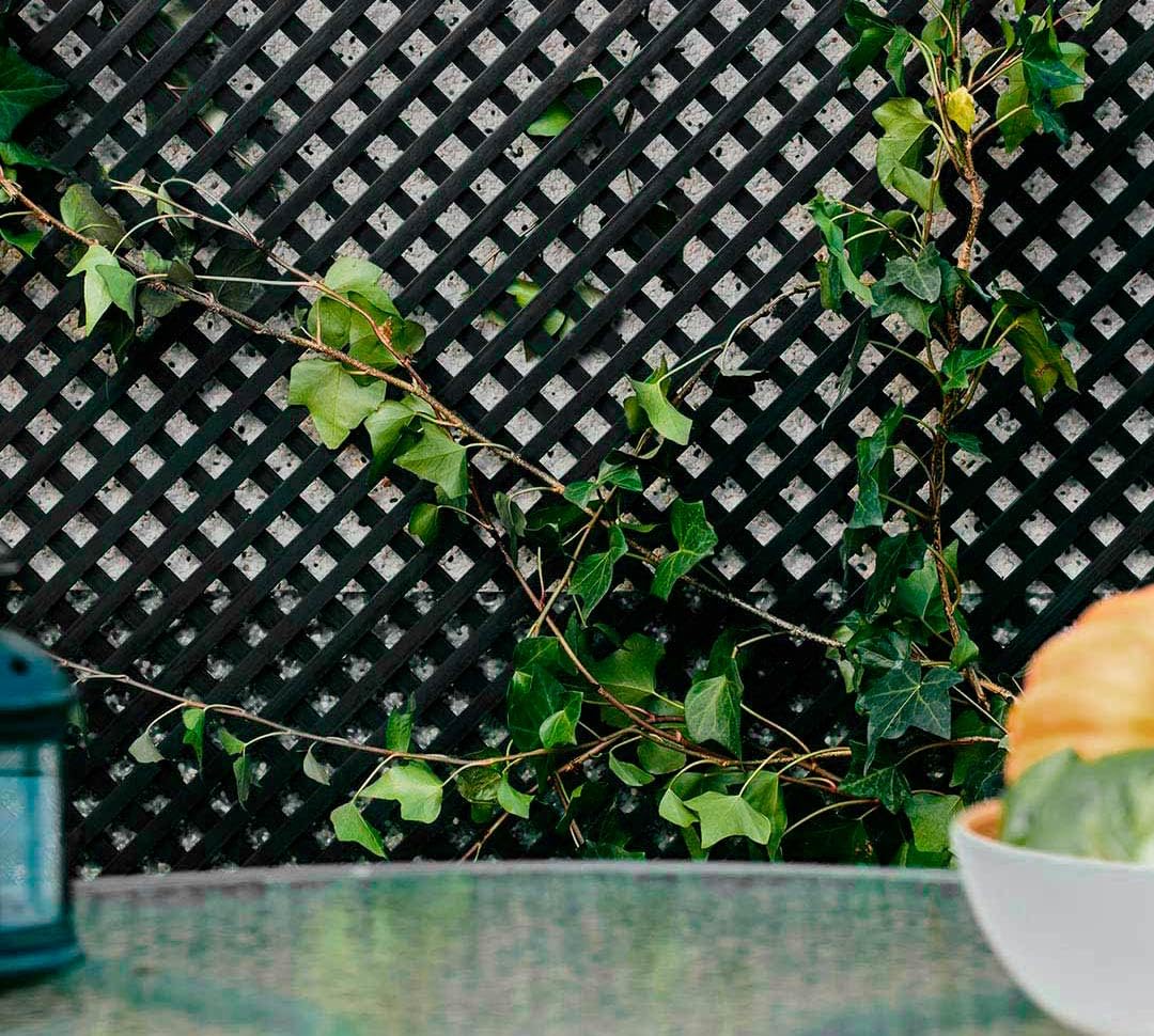 Catral Nortene | Celosia PVC 18 Mm 0.60x1.15 M Antracita | Decoración Exterior | Jardinería Ambientes Modernos