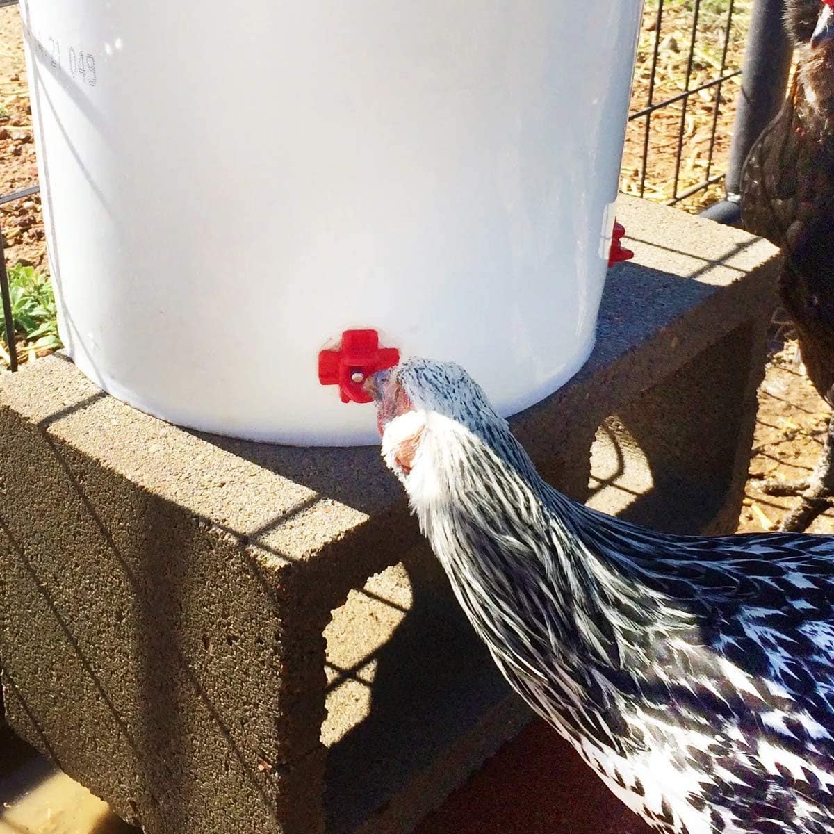 MEWTOGO 40 Pack Horizontal Chicken Nipples Waterer Automatic Poultry Nipples Horizontal Side Mount Chicken Drinkers for Chicken Quail Ducks : Patio, Lawn & Garden