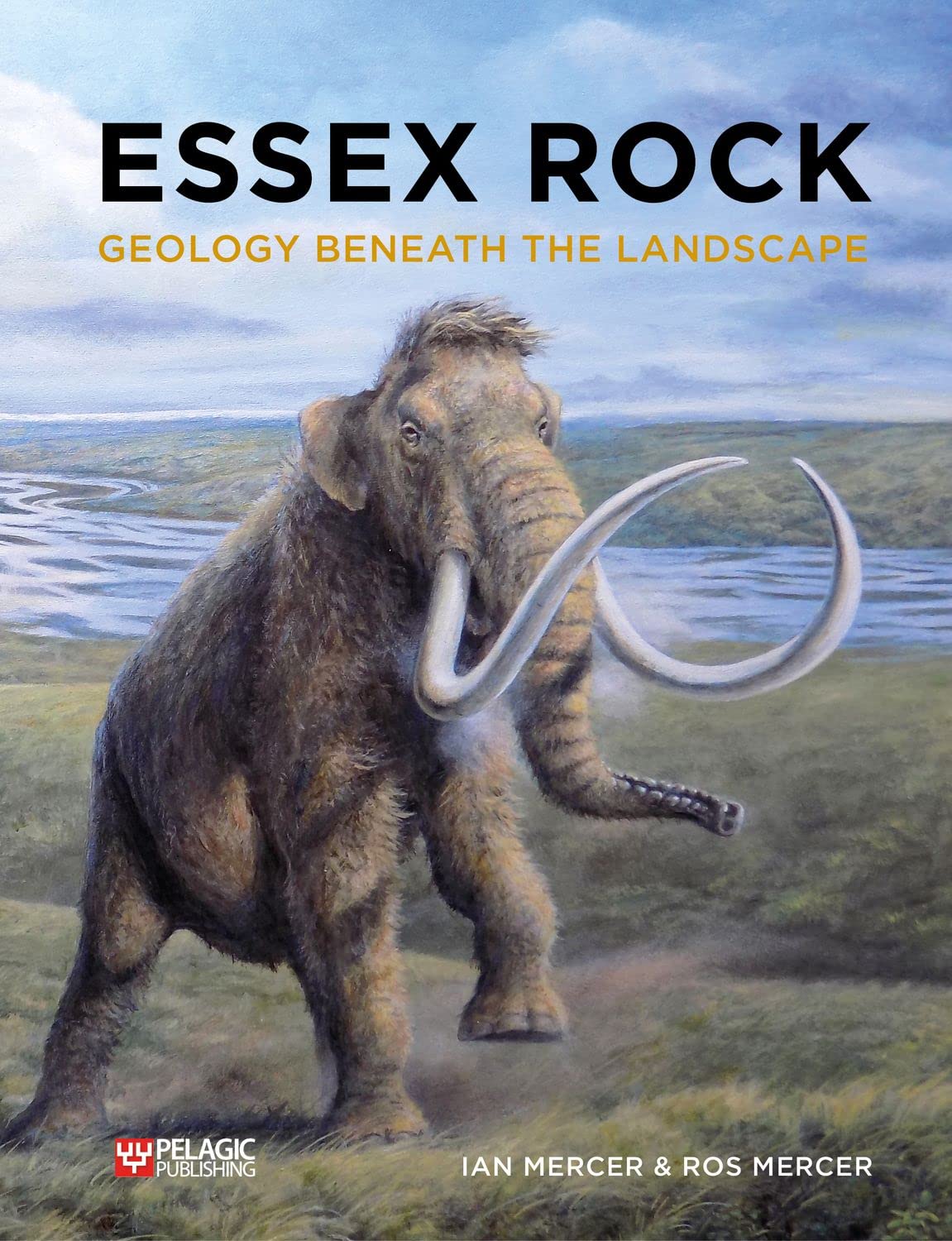 Ess** Rock: Geology Beneath the Landscape,Ian MercerRos Mercer,