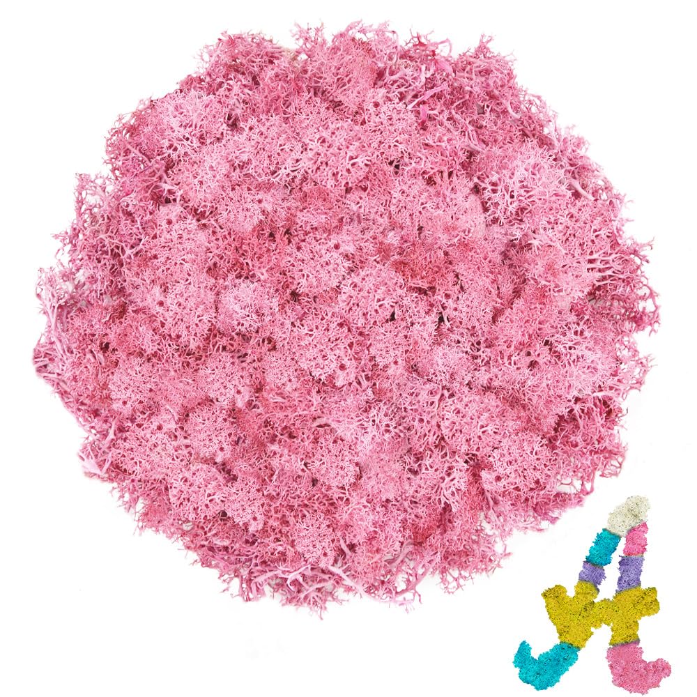 Amazon.com: TCYPUHL Preserved Reindeer Moss 3.5 OZ Pink Natural