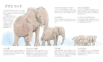 ゾウは何を聞いてきたの? | シャーロット・ギラン, サム
