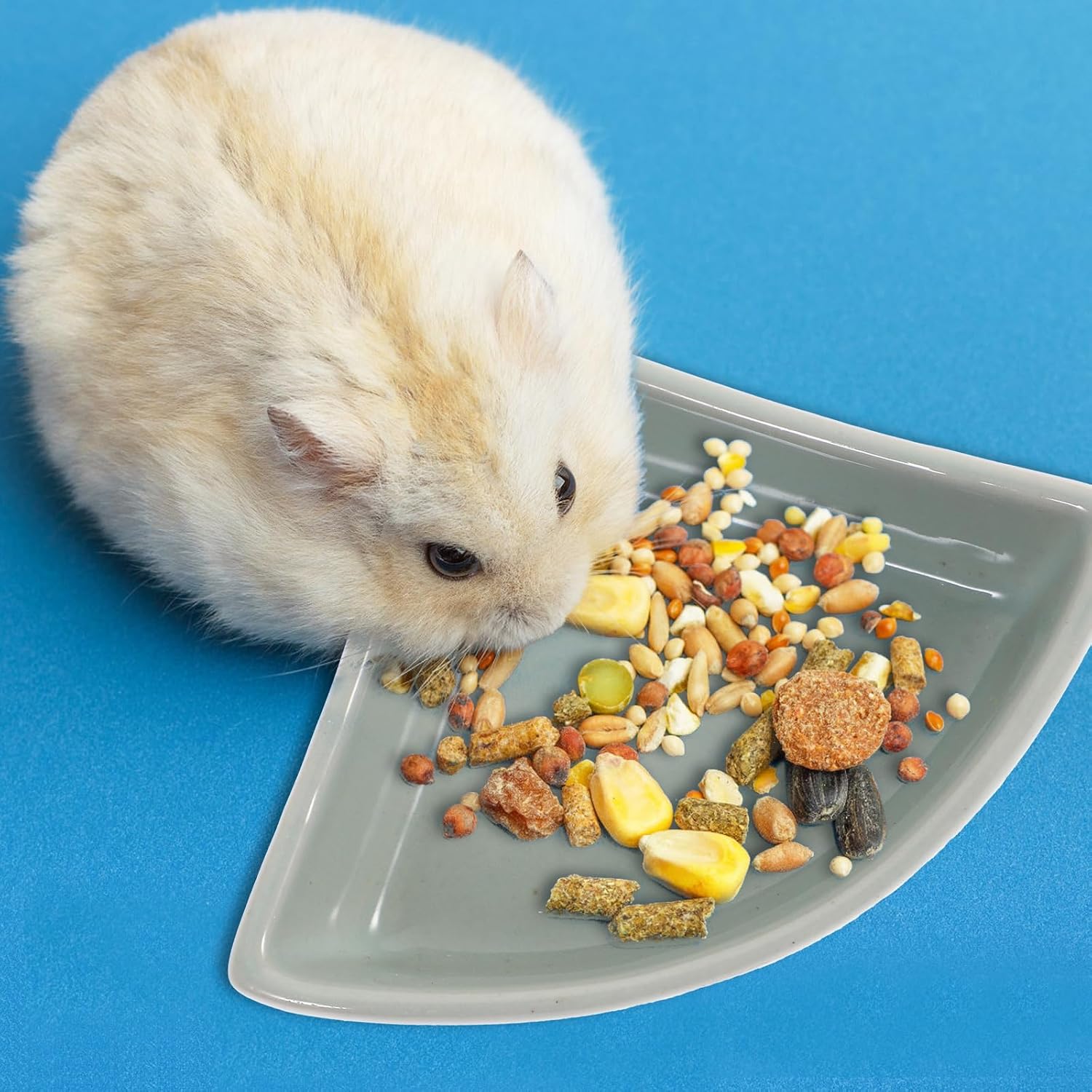 iplusmile Hamster Feeding Basin Ceramic Hamster Food Bowl for Small Pets Anti-Turning Food Feeder for Guinea Pig Hedgehog and Bears 3.93 X 3.93 X 1.37 in Easy to Clean