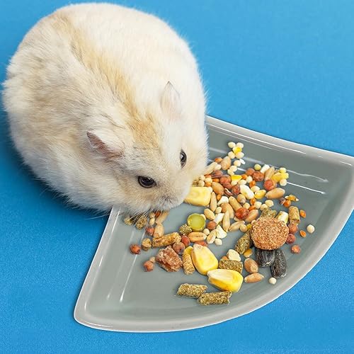 Miniatura 4 de iplusmile Cuenco de comida de cerámica para hámster, cuenco de ratas de agua para conejillos de indias para ratas de agua, gerbo, chinchilla, erizo,