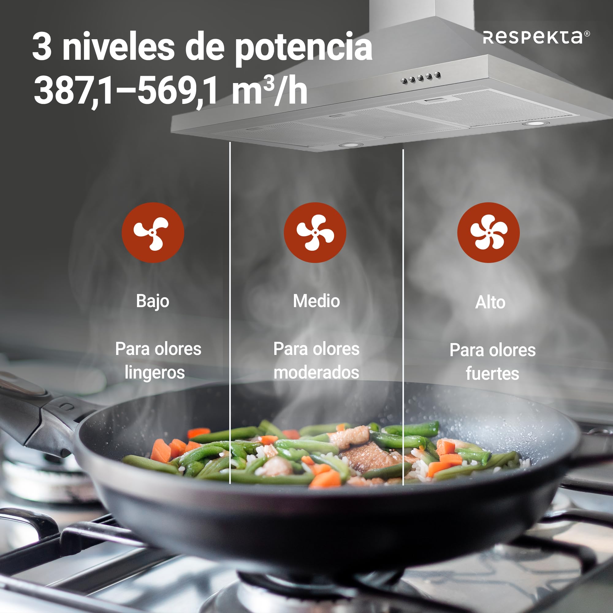 respekta Ch44068-90IXA - Campana para chimenea (90 cm)
