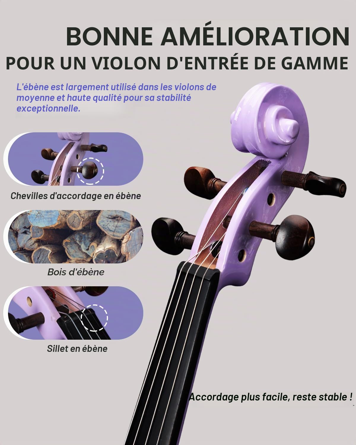 Aileen 4/4 Violon pour Adultes Débutants, Kit de Démarrage pour Enfants 12+, Ensemble Violet avec 13 Accessoires, Pupitre, Autocollant Touche
