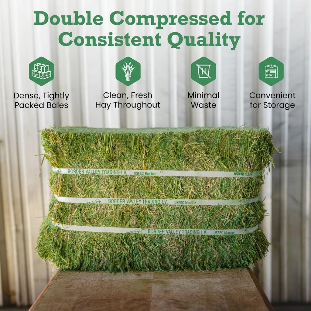 Border Valley Alfalfa Hay Bale in Bag, 40 lb - High Fiber Hay for Rabbits, Guinea Pigs, Chinchillas, Tortoises, Horses and Livestock - Protein-Rich Plant-Based Nutrition, Farm-to-Home Freshness - image 7