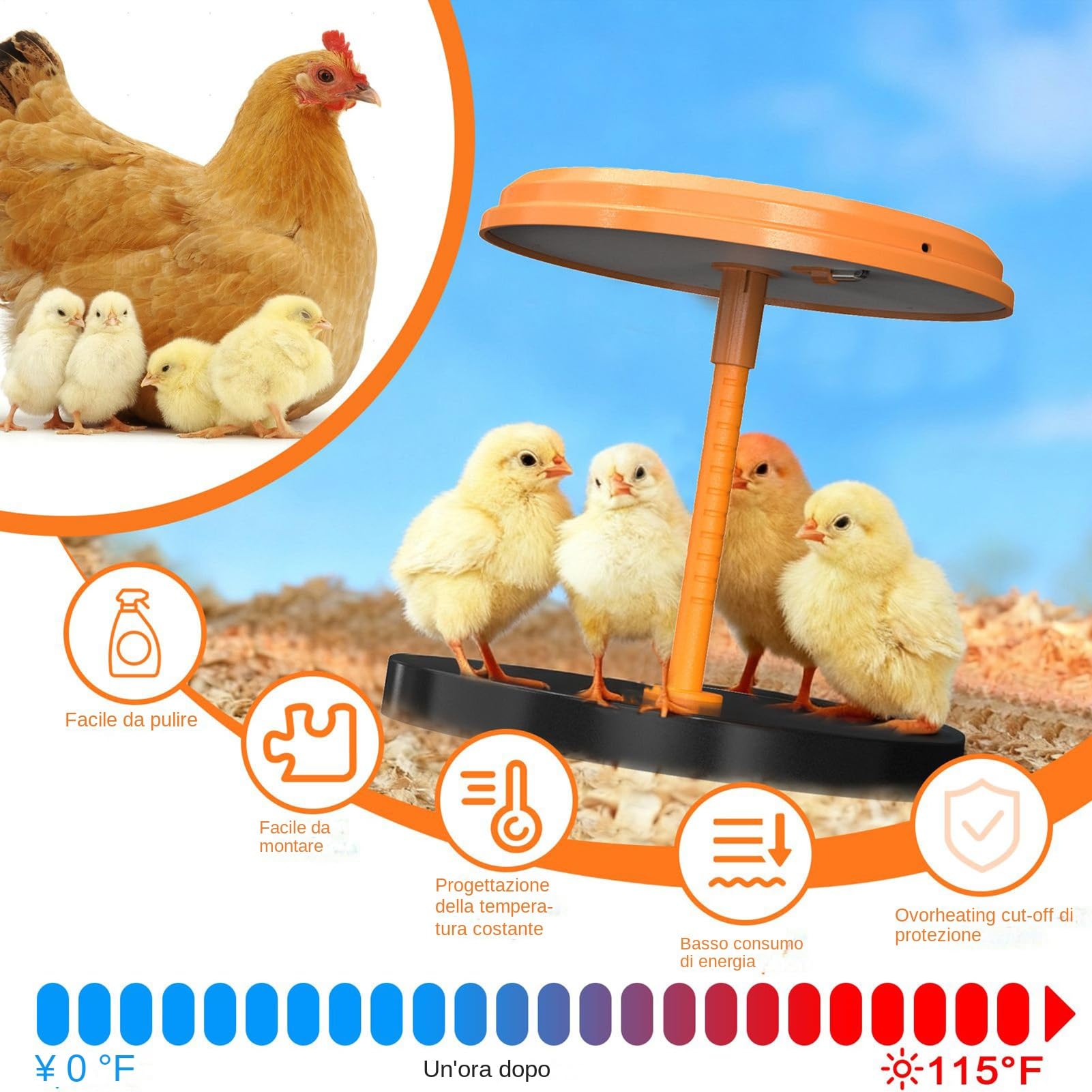 Piastra Riscaldante Piastra Termica Brooder Per Pulcini Da 35W
