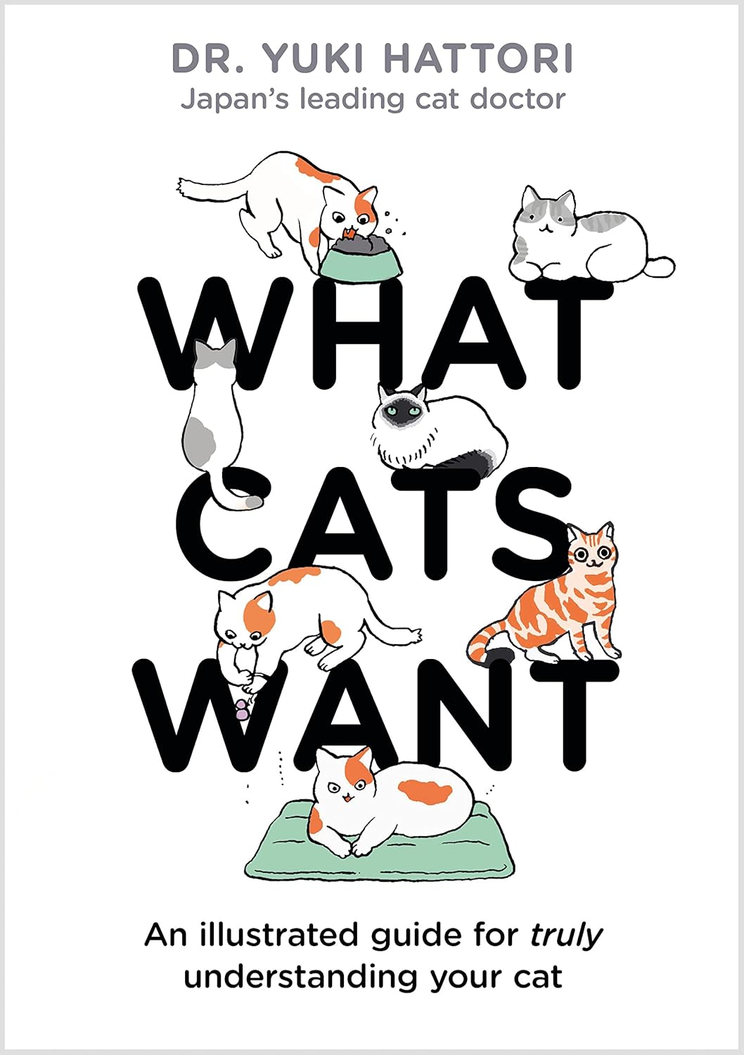 What Cats Want An illustrated guide for truly understanding your cat