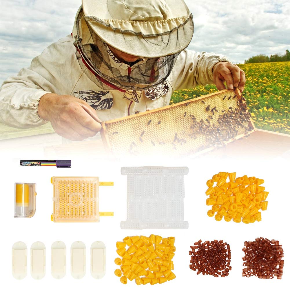 Kit per Allevamento di api, Kit per Allevamento di api in plastica Set per Allevamento di api in plastica Accessori per Attrezzi per l'apicoltura di Bottiglie per marcatura di Gabbie