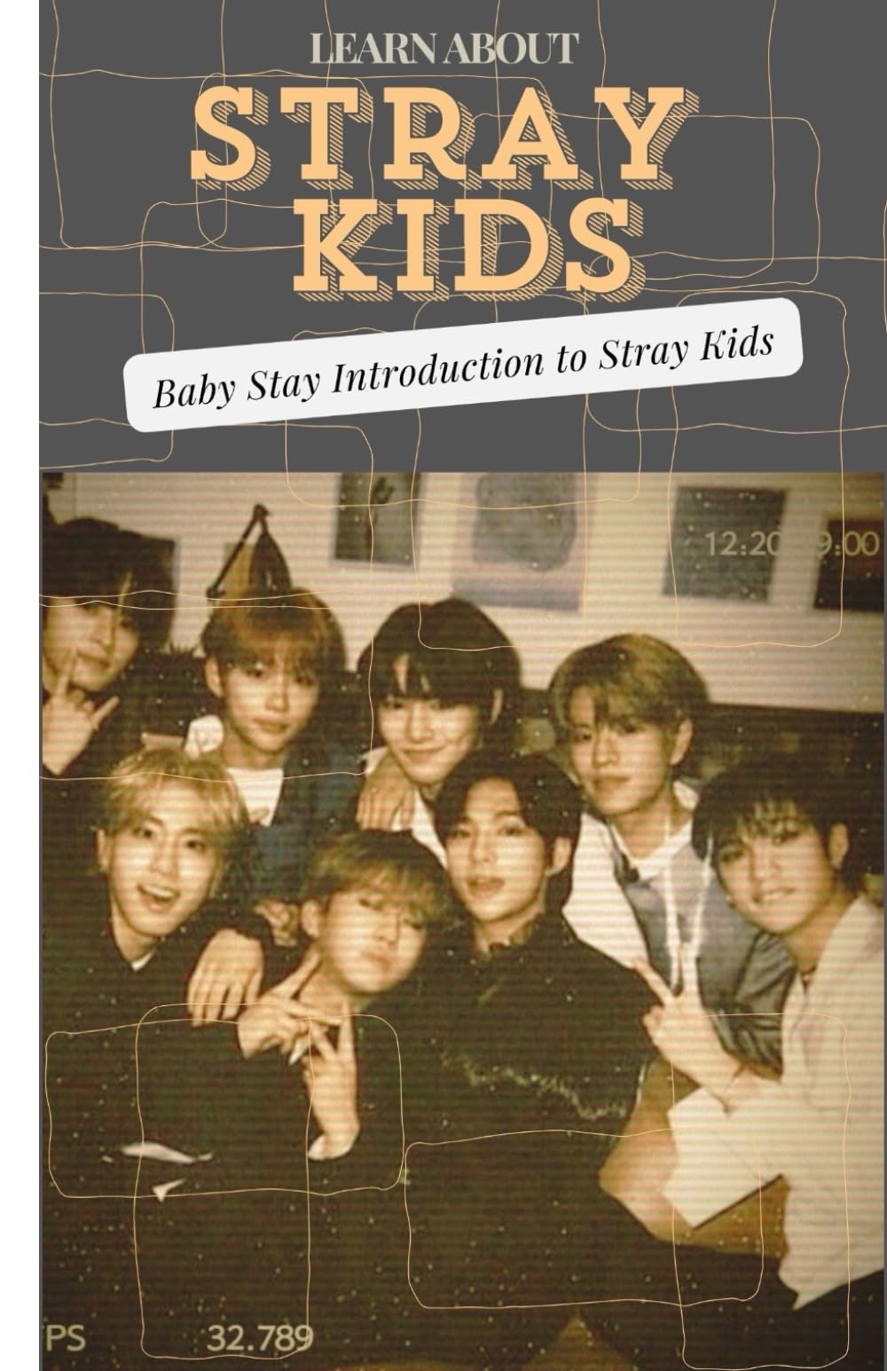 LEARN ABOUT STRAY KIDS: Baby Stays Introduction to Stray Kids