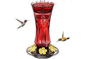 Cardinal Red Hummingbird Feeder: A Bee and Ant-Resistant Haven for Your Feathered Friends