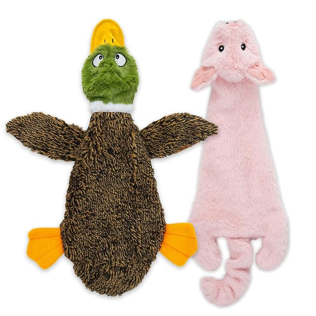 Best Pet Supplies, Juguetes chillones 2 en 1 con Tela Suave y Resistente para Perros pequeños