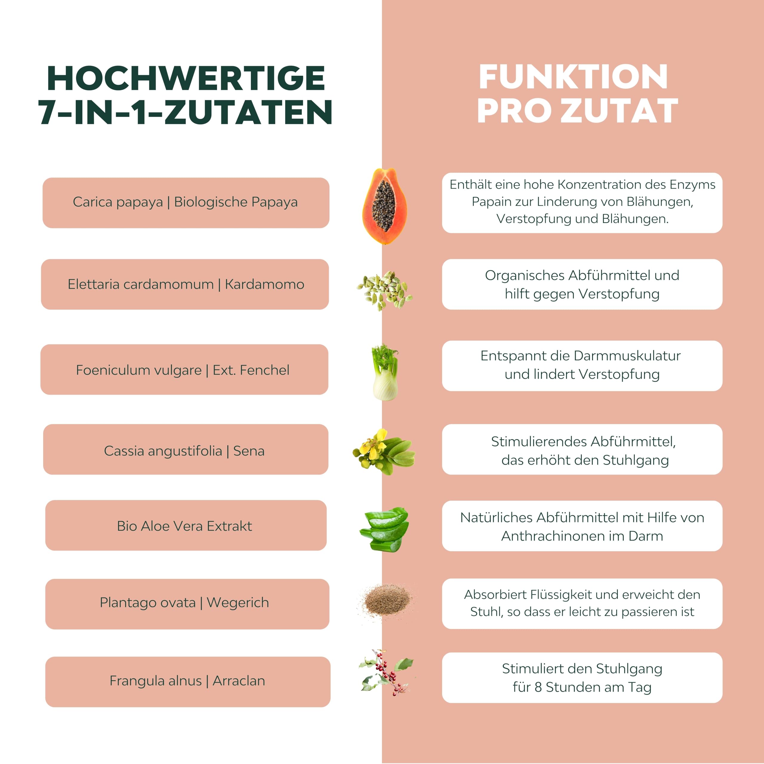LAX+ Abführmittel, 2 Flaschen, lindert Verstopfung bei Erwachsenen, macht den Stuhl weicher, wirksam und schnell mit Papaya, Faulbaum, Kardamom, Fenchel, Sennesblättern, Aloe vera und Spitzwegerich