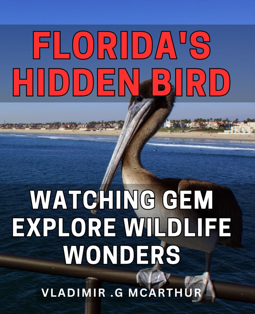 Florida's Hidden Bird Watching Gem: Explore Wildlife Wonders: Discover the Unexplored Beauty of Florida's Bird Watching Scene for Nature Enthusiasts and Tourists Alike