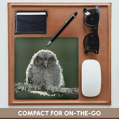 Miniatura 4 de 3dRose LLC 8 x 8 x 0.25 inches Mouse Pad, Eastern screech-owl, Rio Grande Valley, Texas, Rolf Nussbaumer (MP _ _ _ _ _ _ _ _ _ _ 94548 _ _ _ _ _ _ _