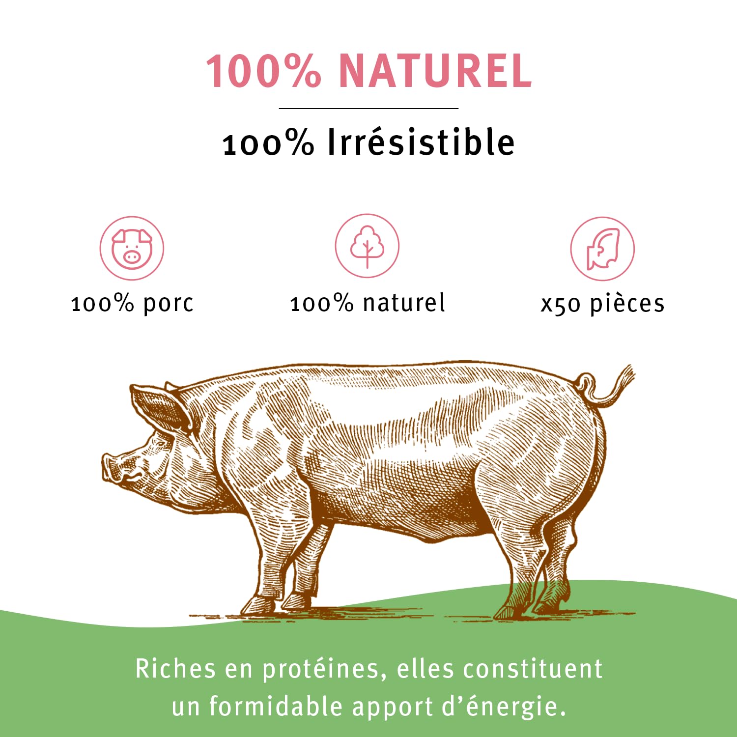 BUBIMEX – Orejas de Cerdo – Dulces masticables para Perros – Promueve la higiene bucal – 100% Naturales – Ricas en proteínas, 50 Unidades – 2 kg