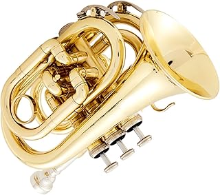 Student Brass Trumpet B Flat Palm Trumpet For Beginners And Students Professional Trumpet