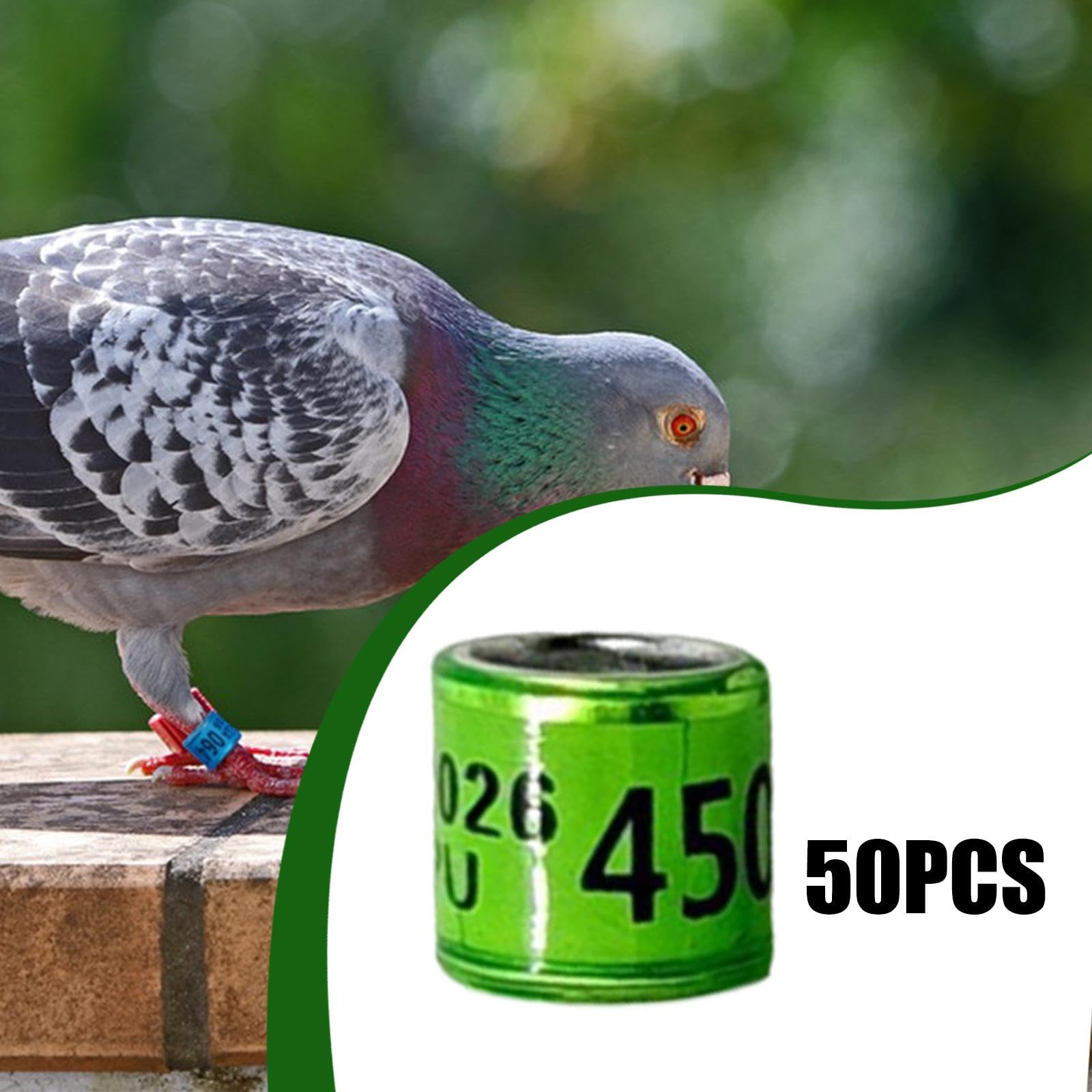 Amazon.co.jp: Jinhxofs 50個パック 鳩足輪 ランダム番号 鳩足輪 軽量