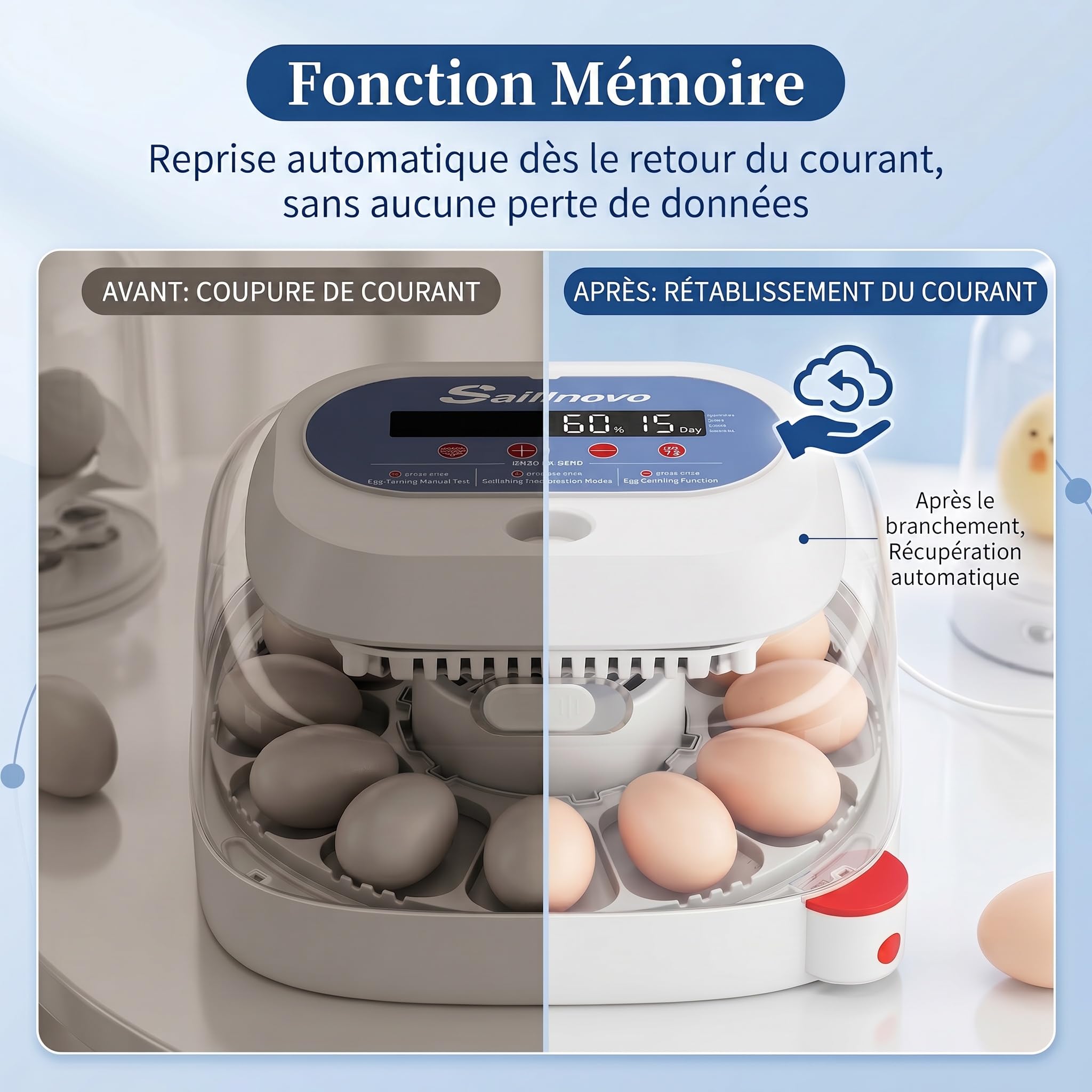 Sailnovo Couveuse oeuf automatique 12 œufs - Incubateur oeuf automatique vue 360°, 4 modes multi-espèces, Contrôle température, Retournement auto, Mire-Œufs Intégré (Bleu)